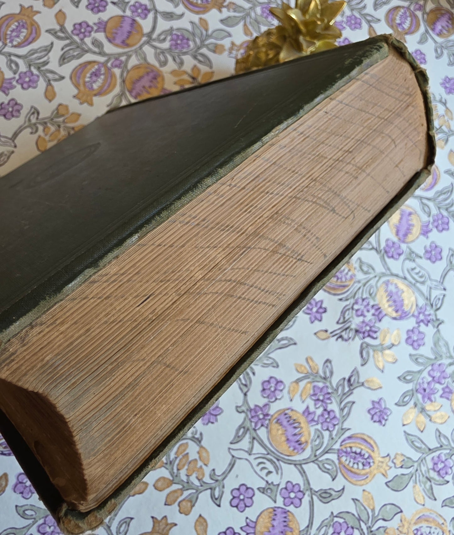 1877 Natural History and Antiquities of Selborne by Gilbert White - Large Antique Illustrated Book - WORN Copy