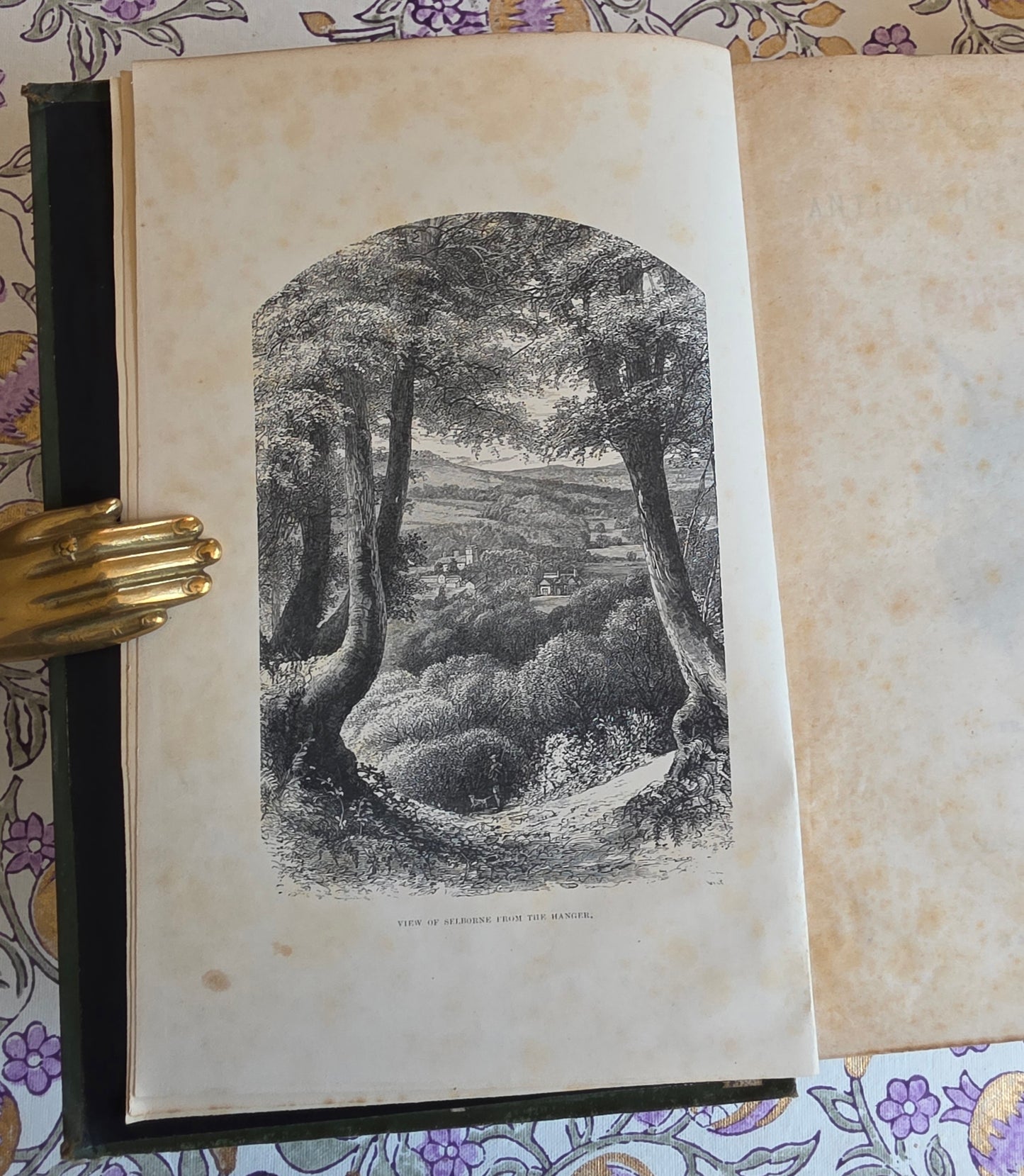 1877 Natural History and Antiquities of Selborne by Gilbert White - Large Antique Illustrated Book - WORN Copy