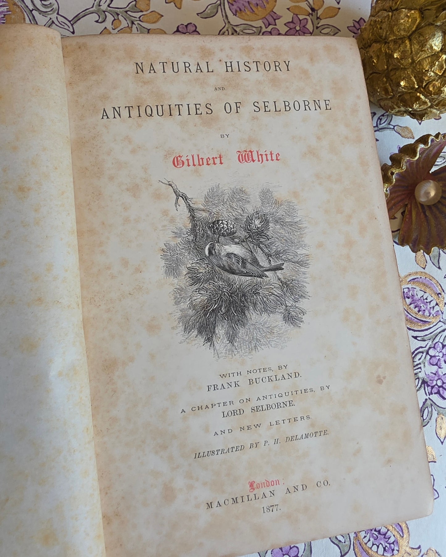 1877 Natural History and Antiquities of Selborne by Gilbert White - Large Antique Illustrated Book - WORN Copy