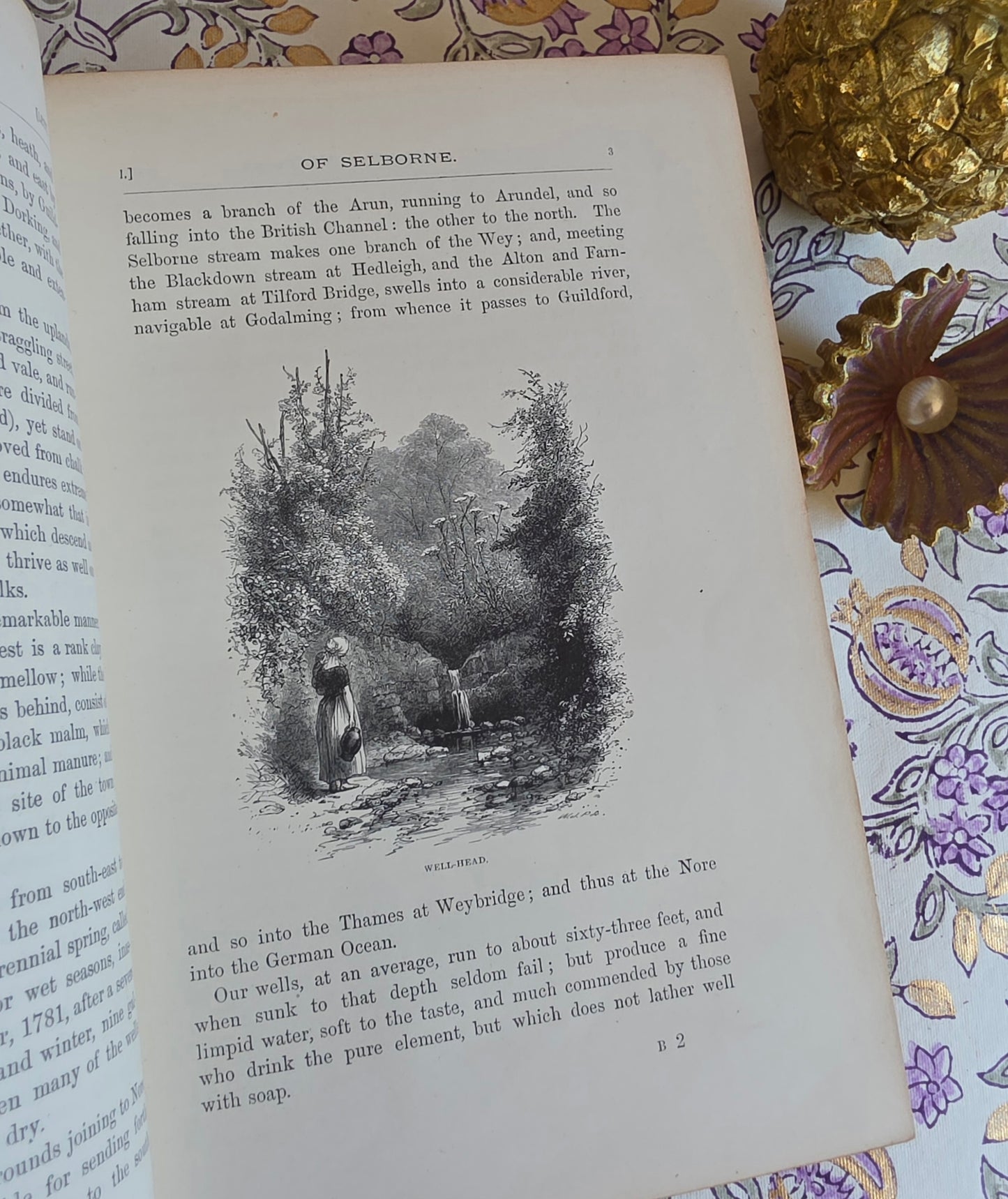 1877 Natural History and Antiquities of Selborne by Gilbert White - Large Antique Illustrated Book - WORN Copy