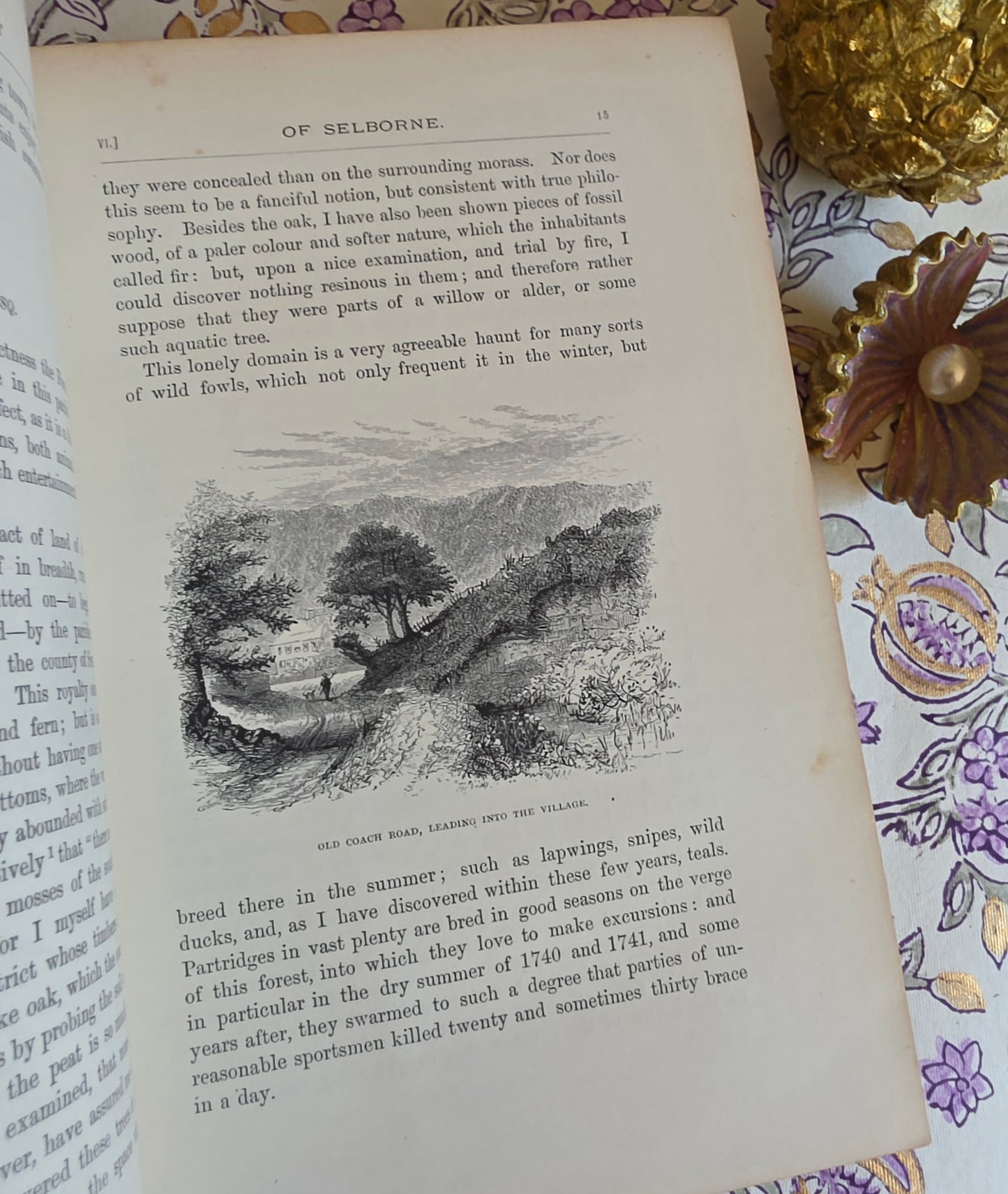 1877 Natural History and Antiquities of Selborne by Gilbert White - Large Antique Illustrated Book - WORN Copy