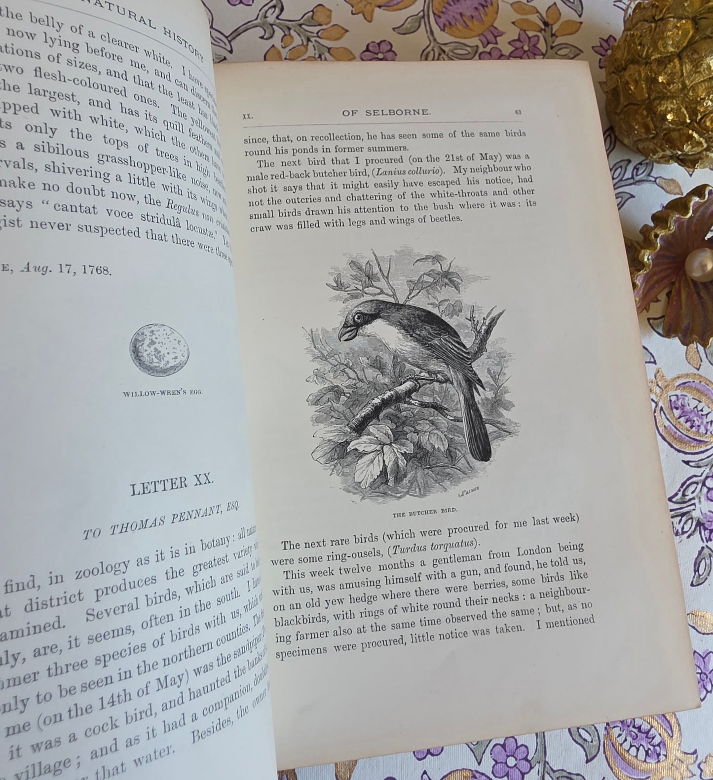 1877 Natural History and Antiquities of Selborne by Gilbert White - Large Antique Illustrated Book - WORN Copy