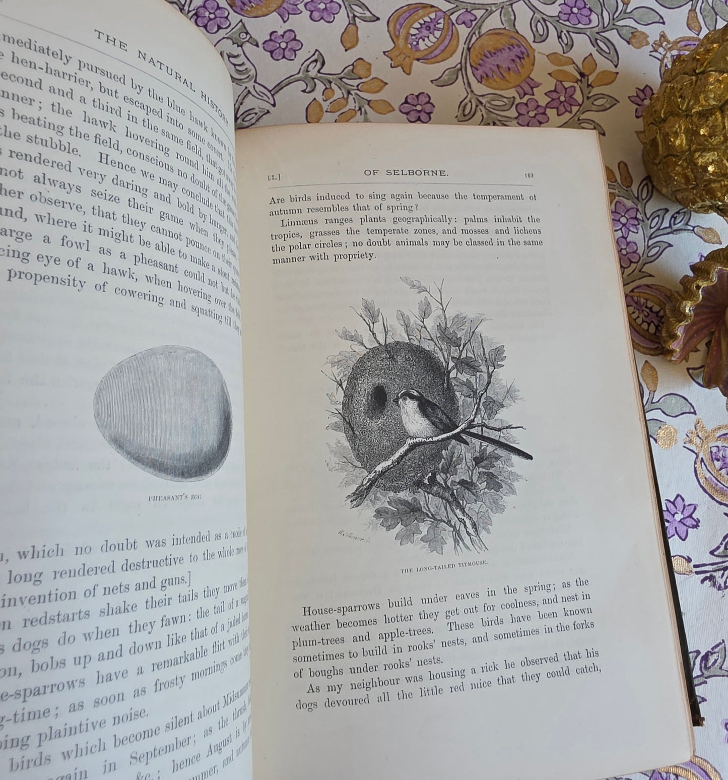 1877 Natural History and Antiquities of Selborne by Gilbert White - Large Antique Illustrated Book - WORN Copy