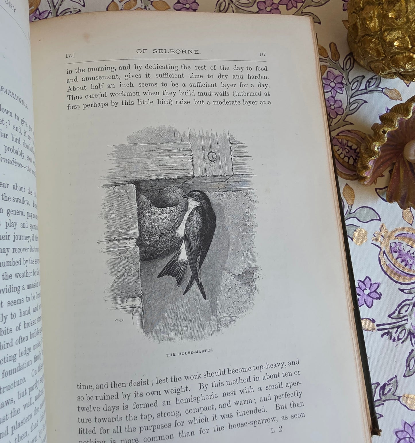 1877 Natural History and Antiquities of Selborne by Gilbert White - Large Antique Illustrated Book - WORN Copy
