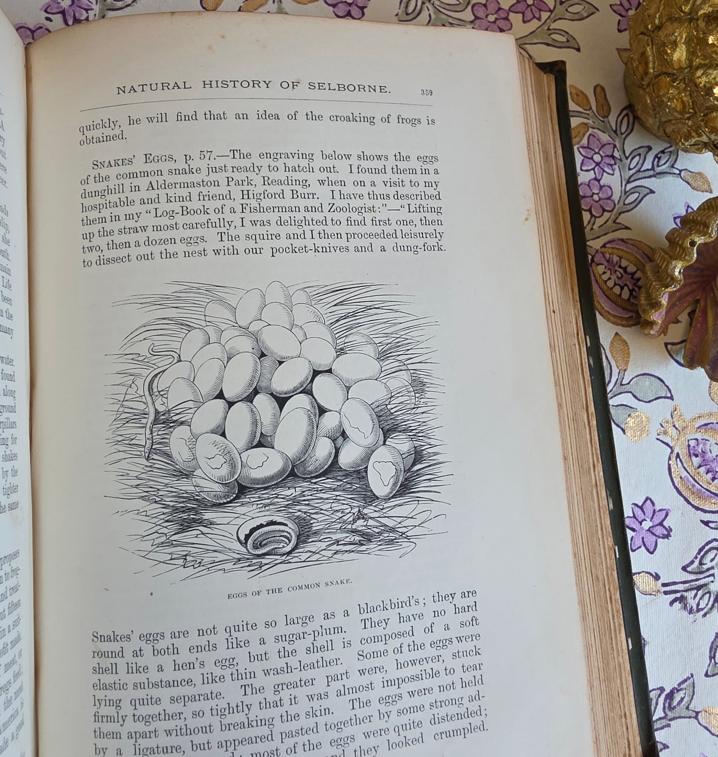 1877 Natural History and Antiquities of Selborne by Gilbert White - Large Antique Illustrated Book - WORN Copy
