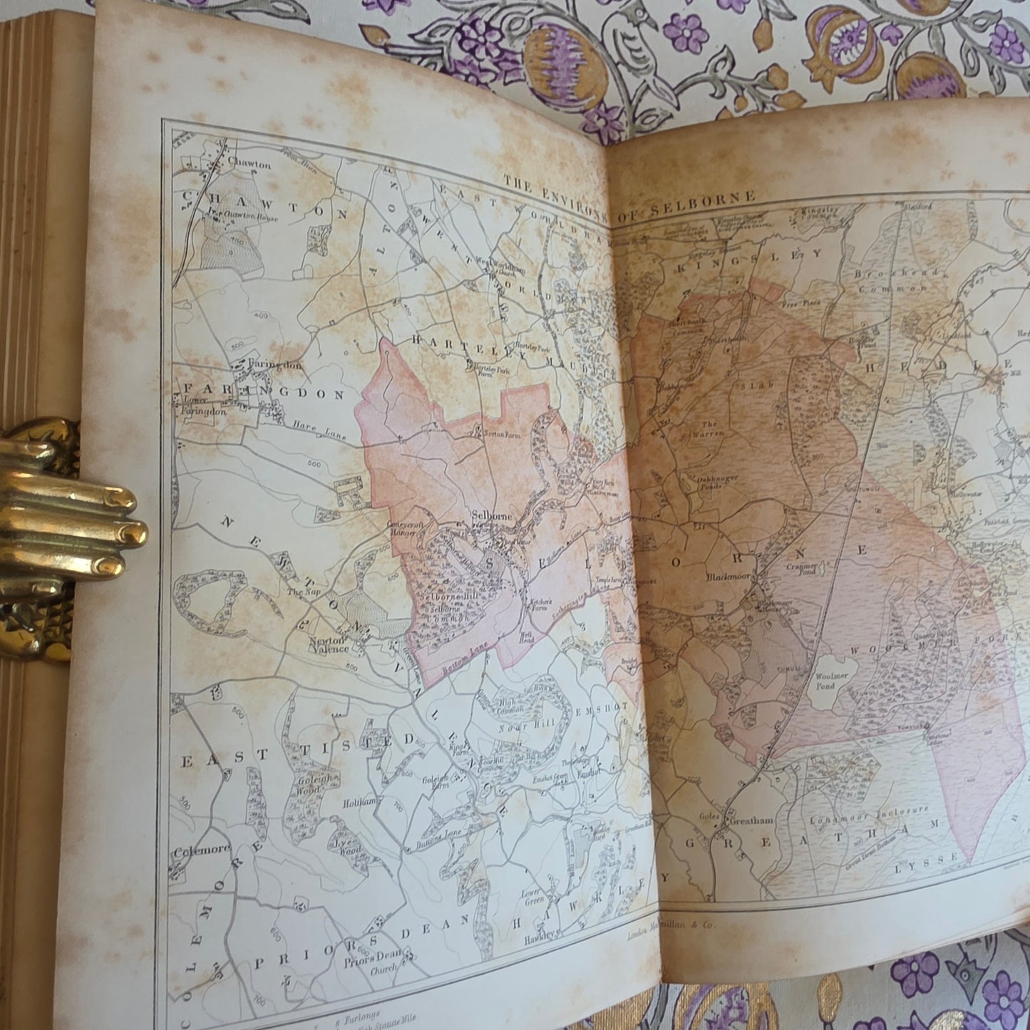 1877 Natural History and Antiquities of Selborne by Gilbert White - Large Antique Illustrated Book - WORN Copy