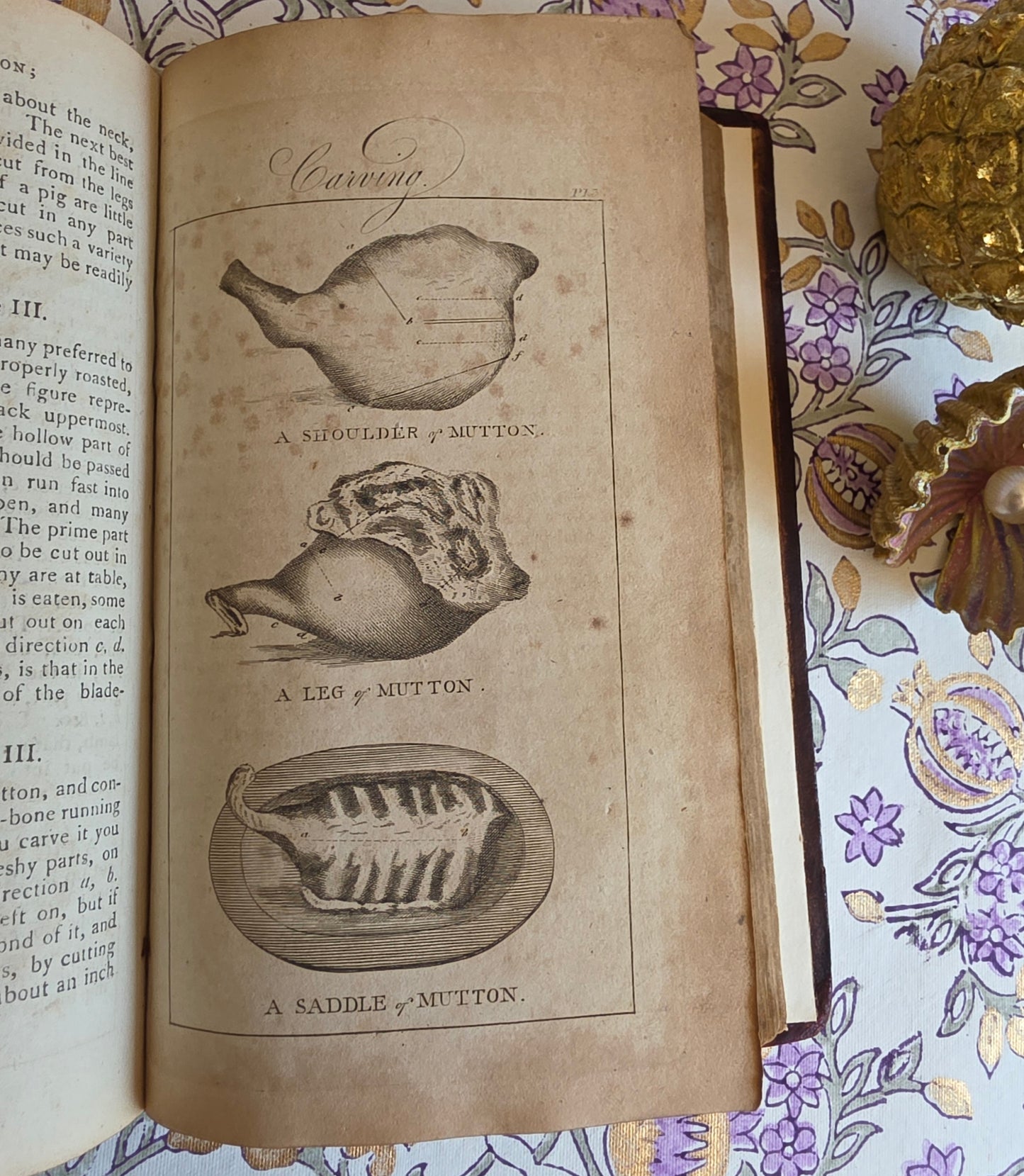 1811 The Young Woman's Companion or Frugal Housewife - Regency/Georgian Cookery Recipes and Household Advice