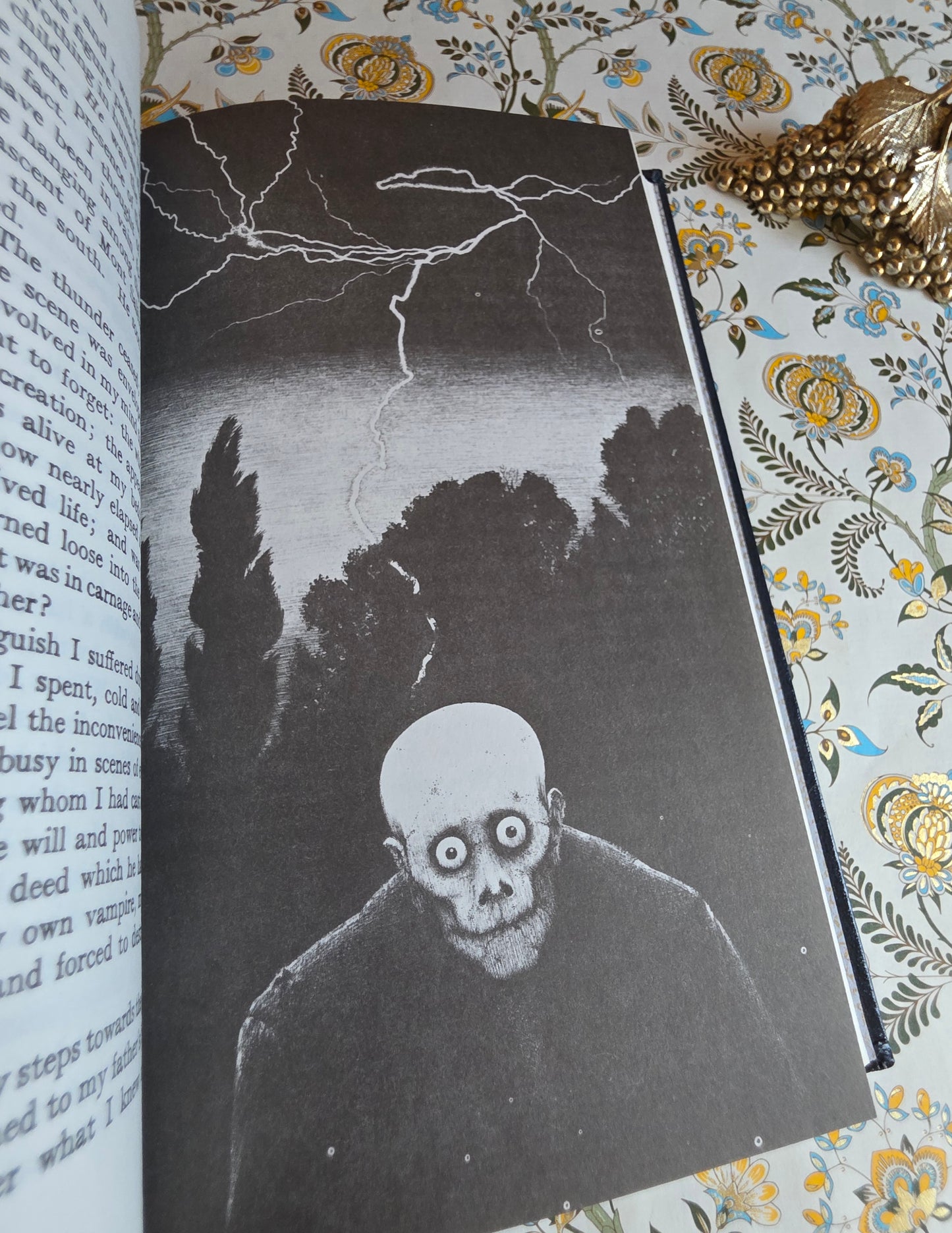 1973 Frankenstein by Mary Shelley - Illustrated Vintage Book