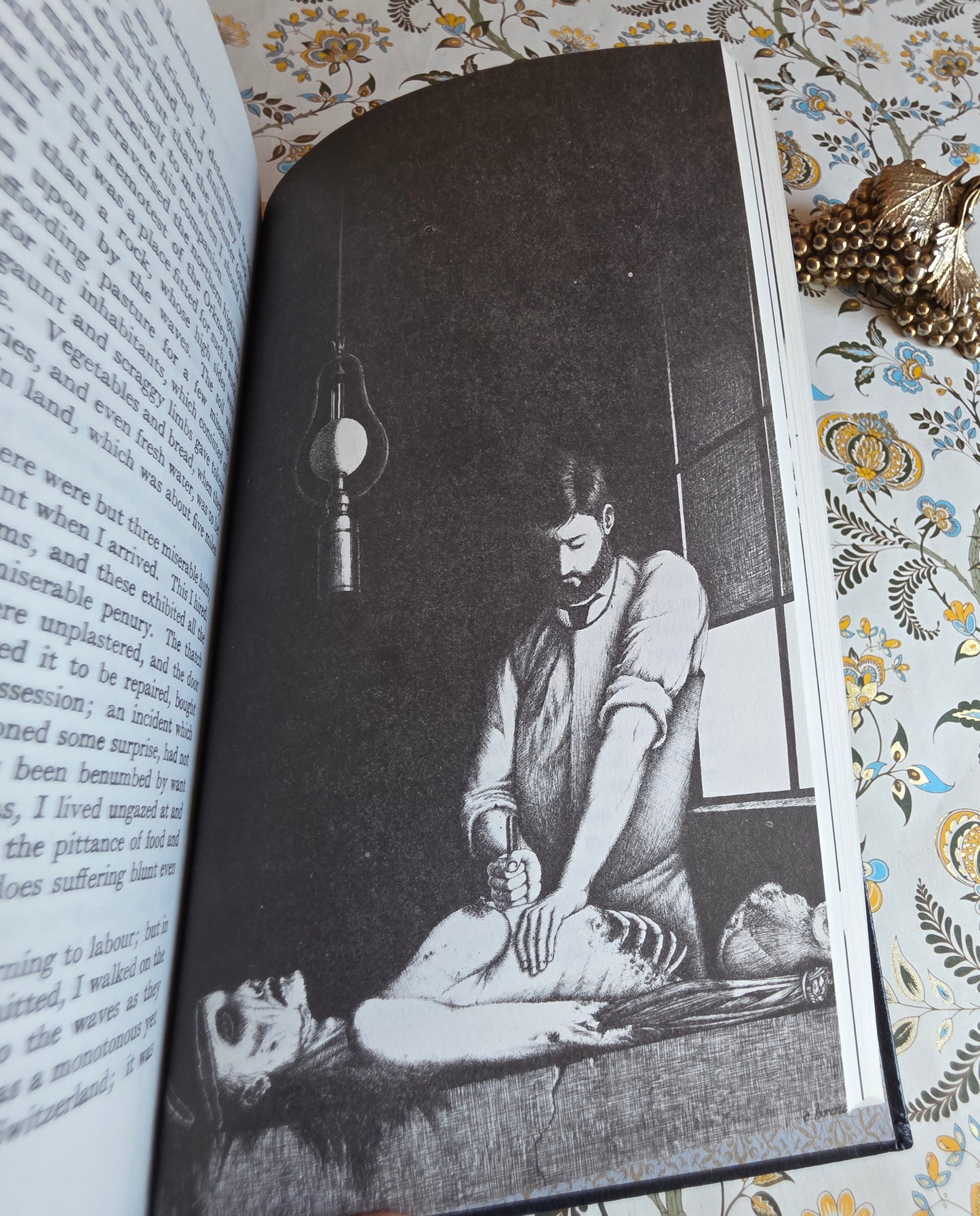 1973 Frankenstein by Mary Shelley - Illustrated Vintage Book