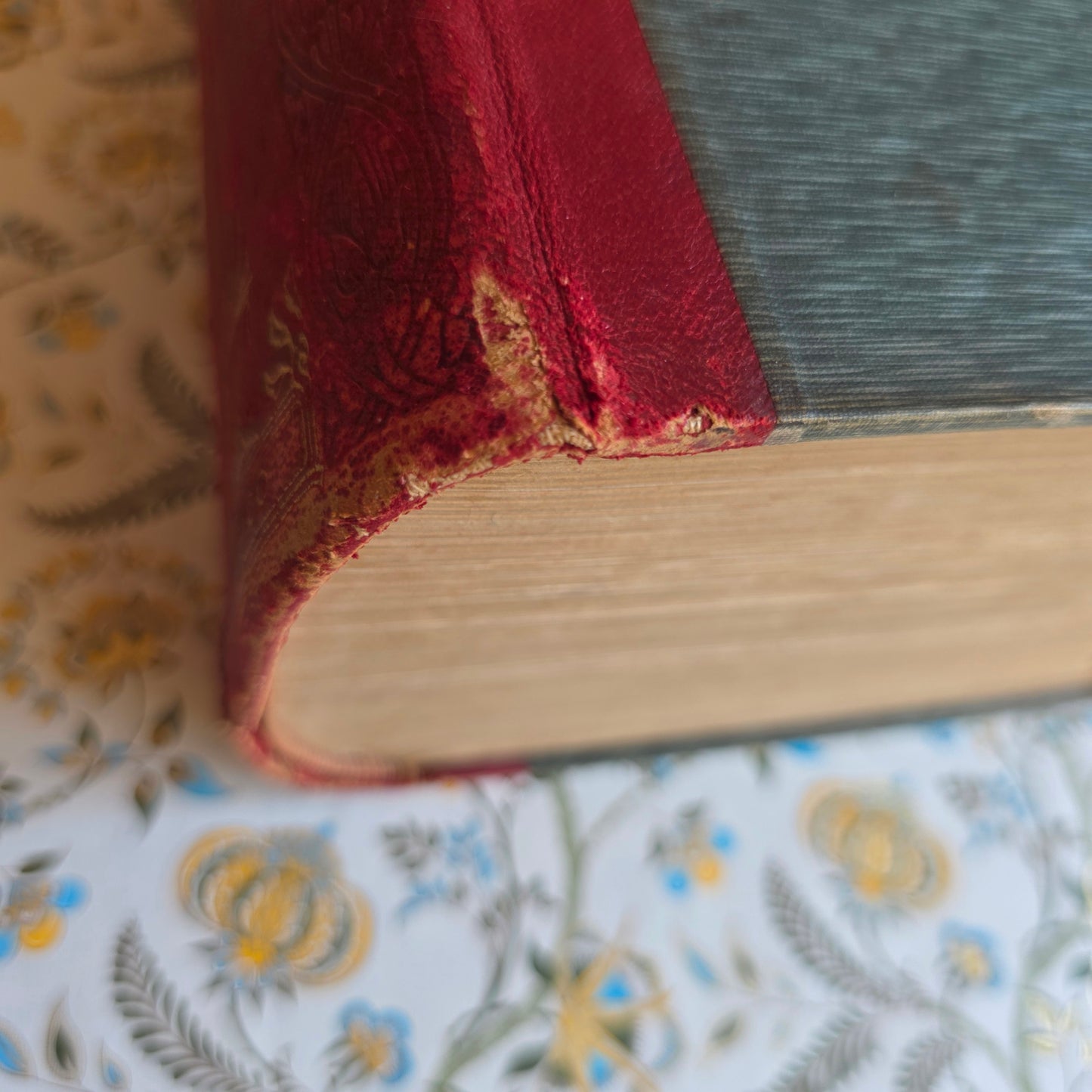 1906 Mrs Beeton's Book of Household Management - Large Illustrated Antique Book