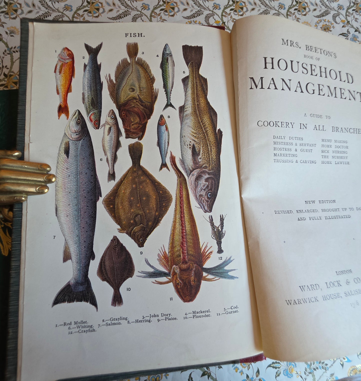 1906 Mrs Beeton's Book of Household Management - Large Illustrated Antique Book