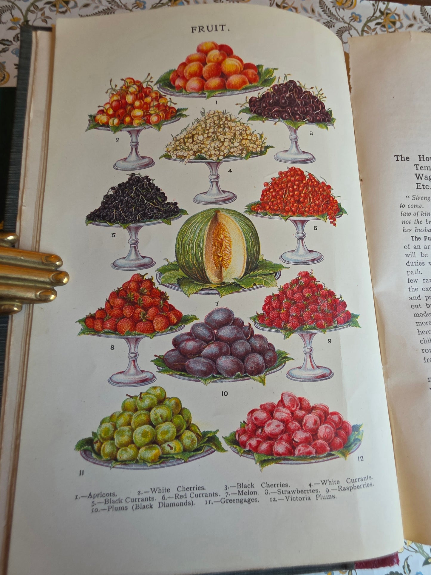 1906 Mrs Beeton's Book of Household Management - Large Illustrated Antique Book