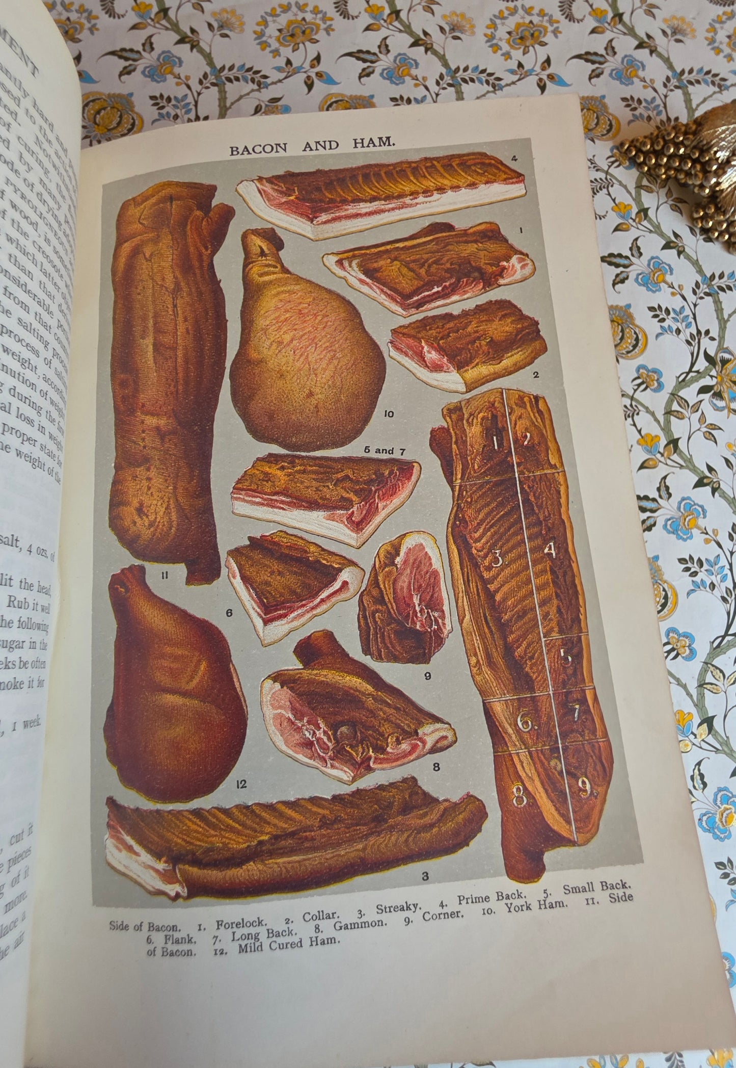 1906 Mrs Beeton's Book of Household Management - Large Illustrated Antique Book