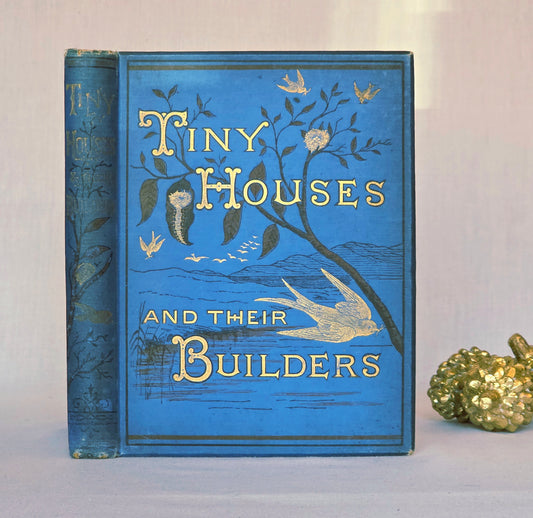 1876 Tiny Houses and Their Builders - Illustrated Antique Book