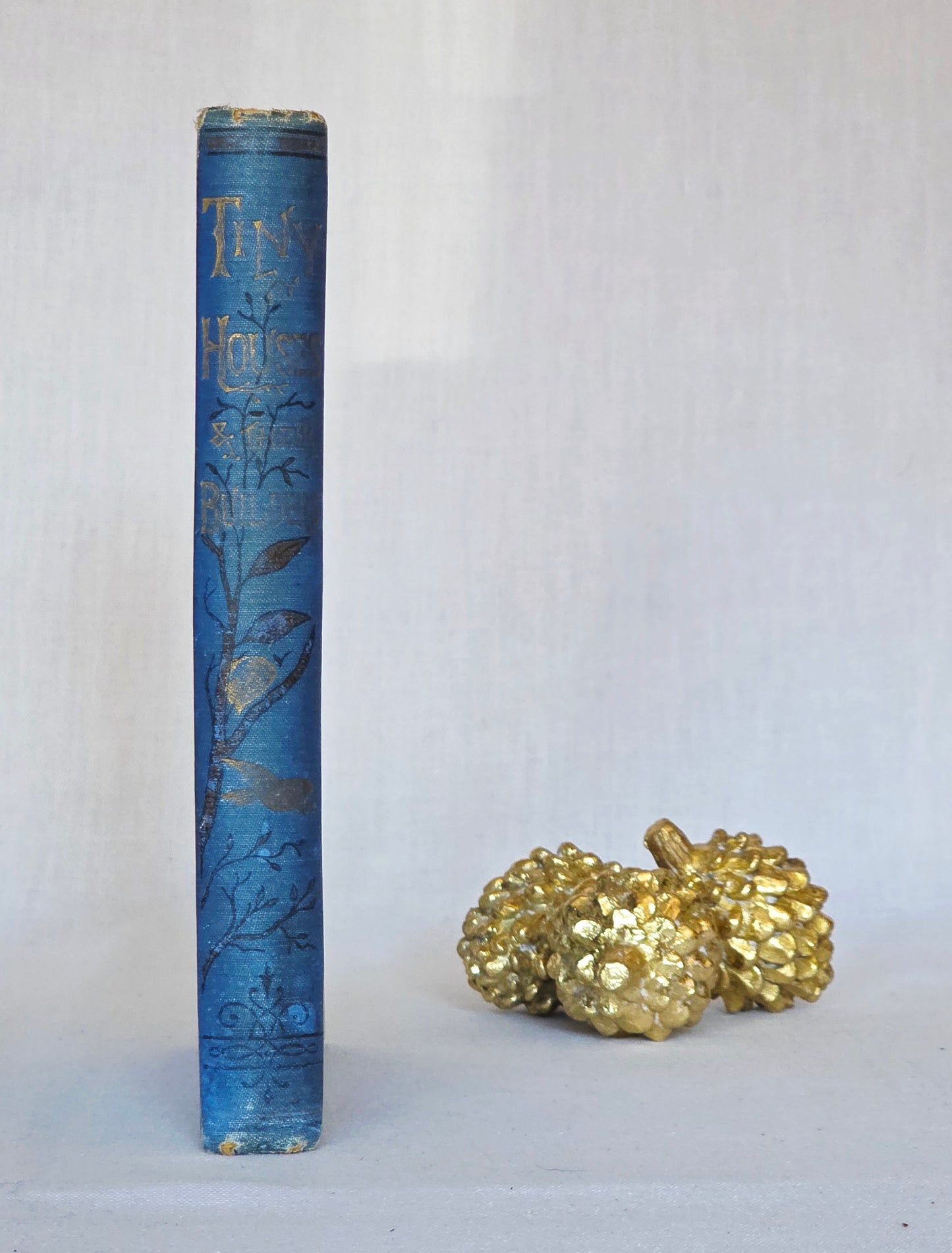 1876 Tiny Houses and Their Builders - Illustrated Antique Book