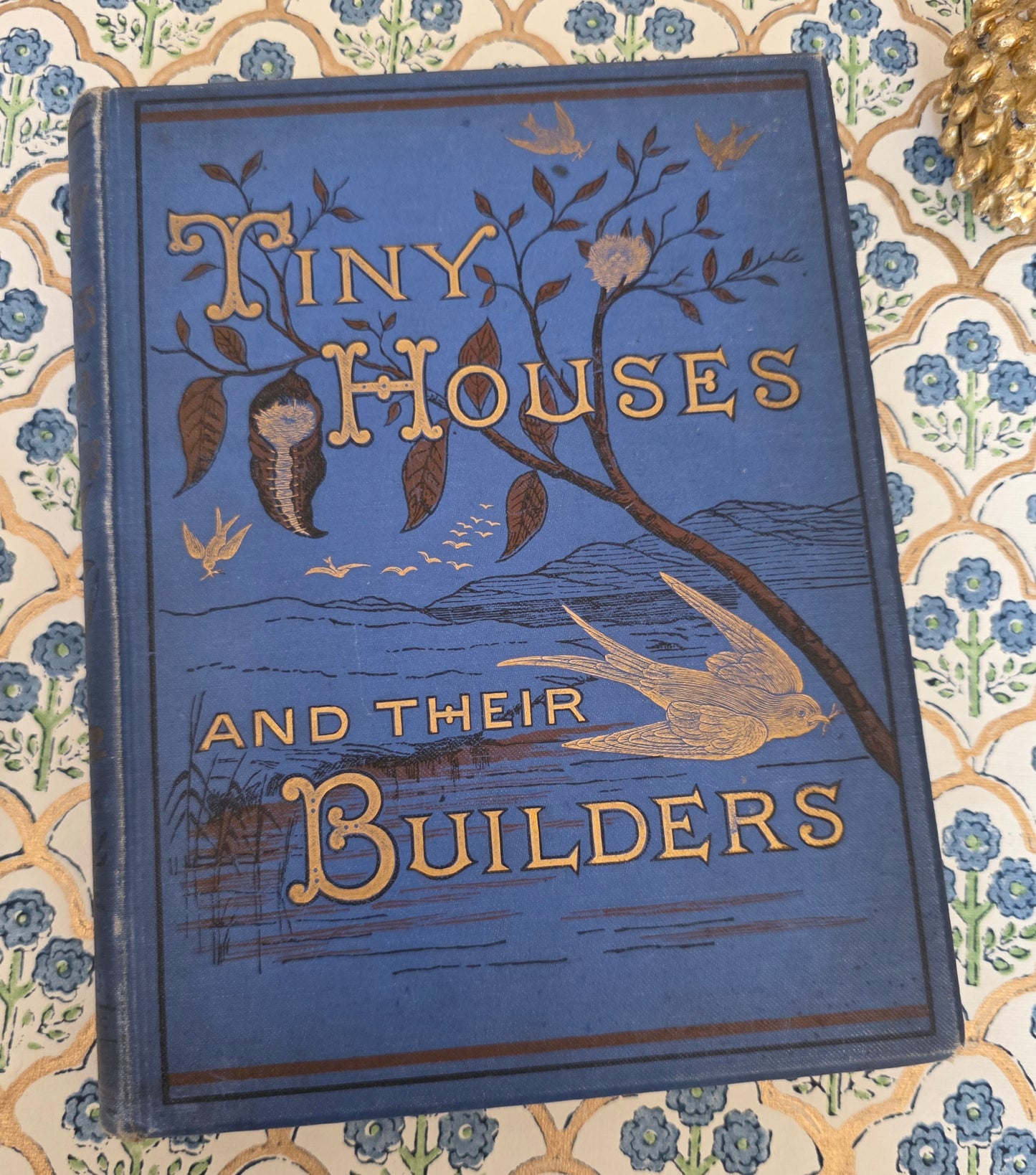 1876 Tiny Houses and Their Builders - Illustrated Antique Book