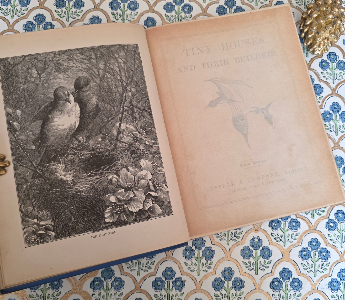 1876 Tiny Houses and Their Builders - Illustrated Antique Book