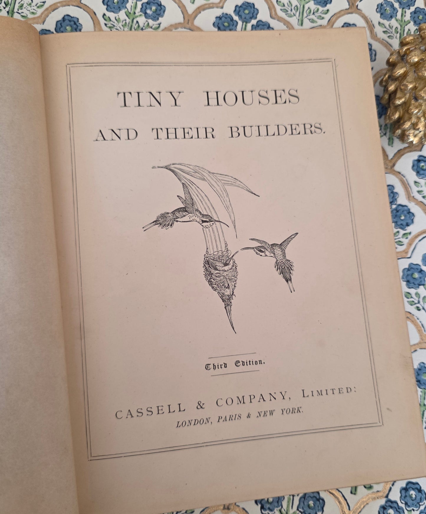 1876 Tiny Houses and Their Builders - Illustrated Antique Book