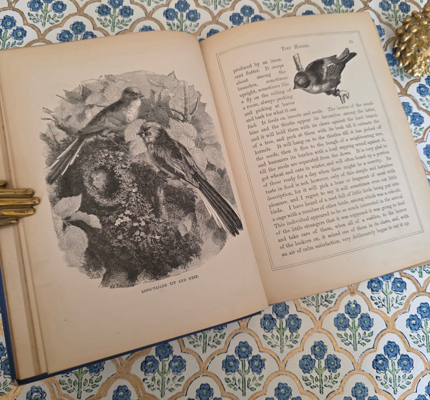 1876 Tiny Houses and Their Builders - Illustrated Antique Book