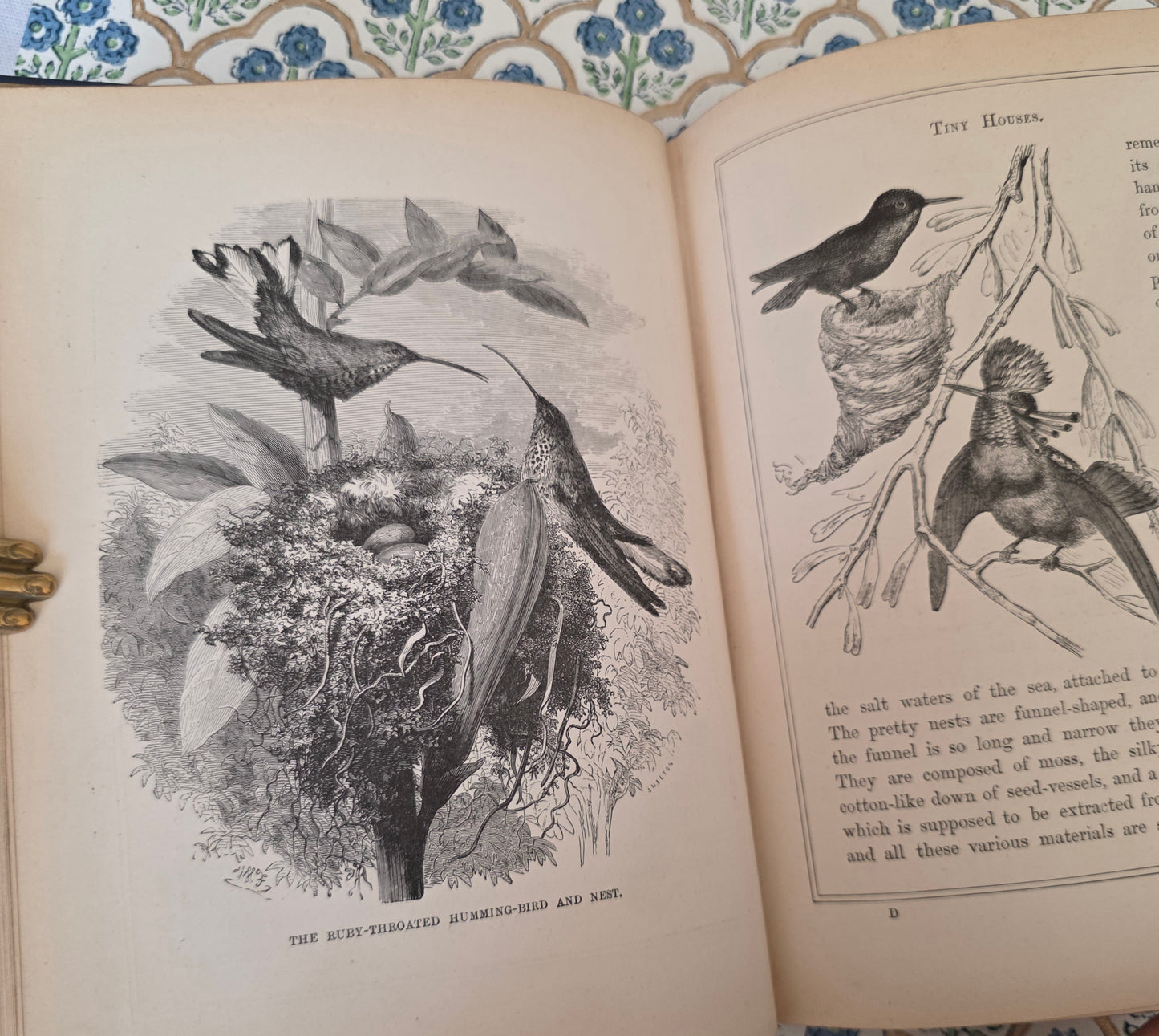 1876 Tiny Houses and Their Builders - Illustrated Antique Book