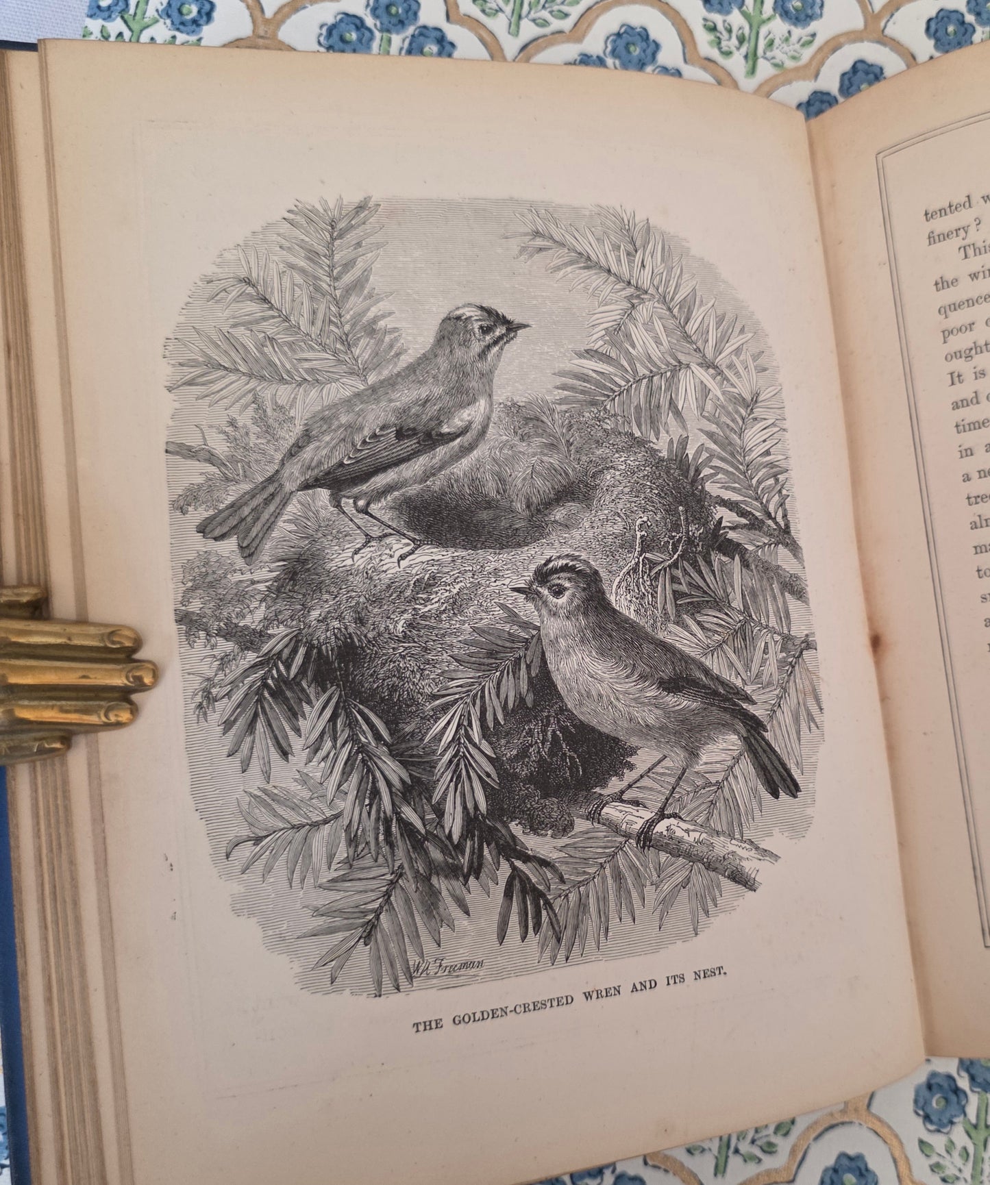1876 Tiny Houses and Their Builders - Illustrated Antique Book