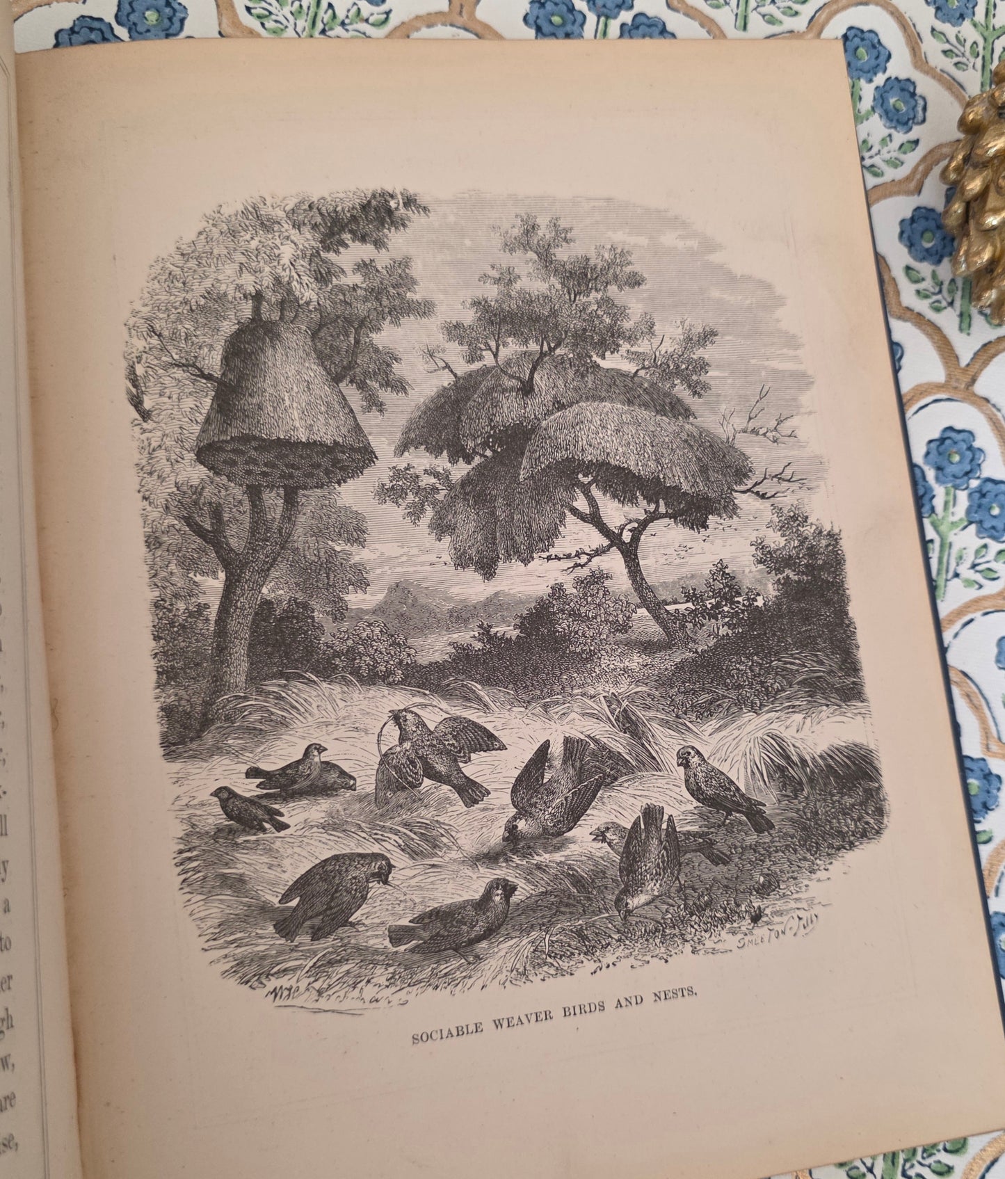 1876 Tiny Houses and Their Builders - Illustrated Antique Book