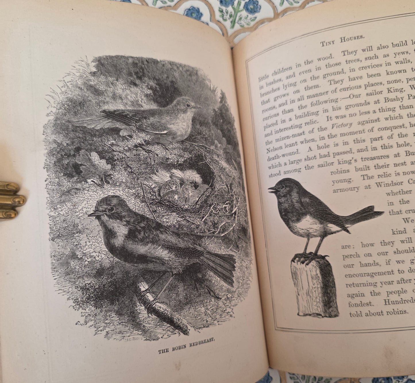 1876 Tiny Houses and Their Builders - Illustrated Antique Book