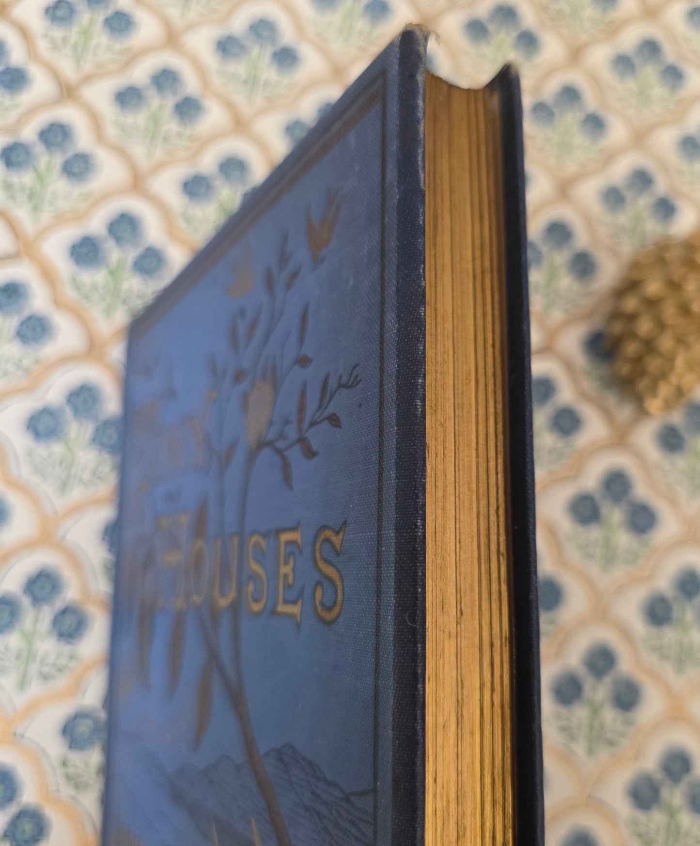 1876 Tiny Houses and Their Builders - Illustrated Antique Book