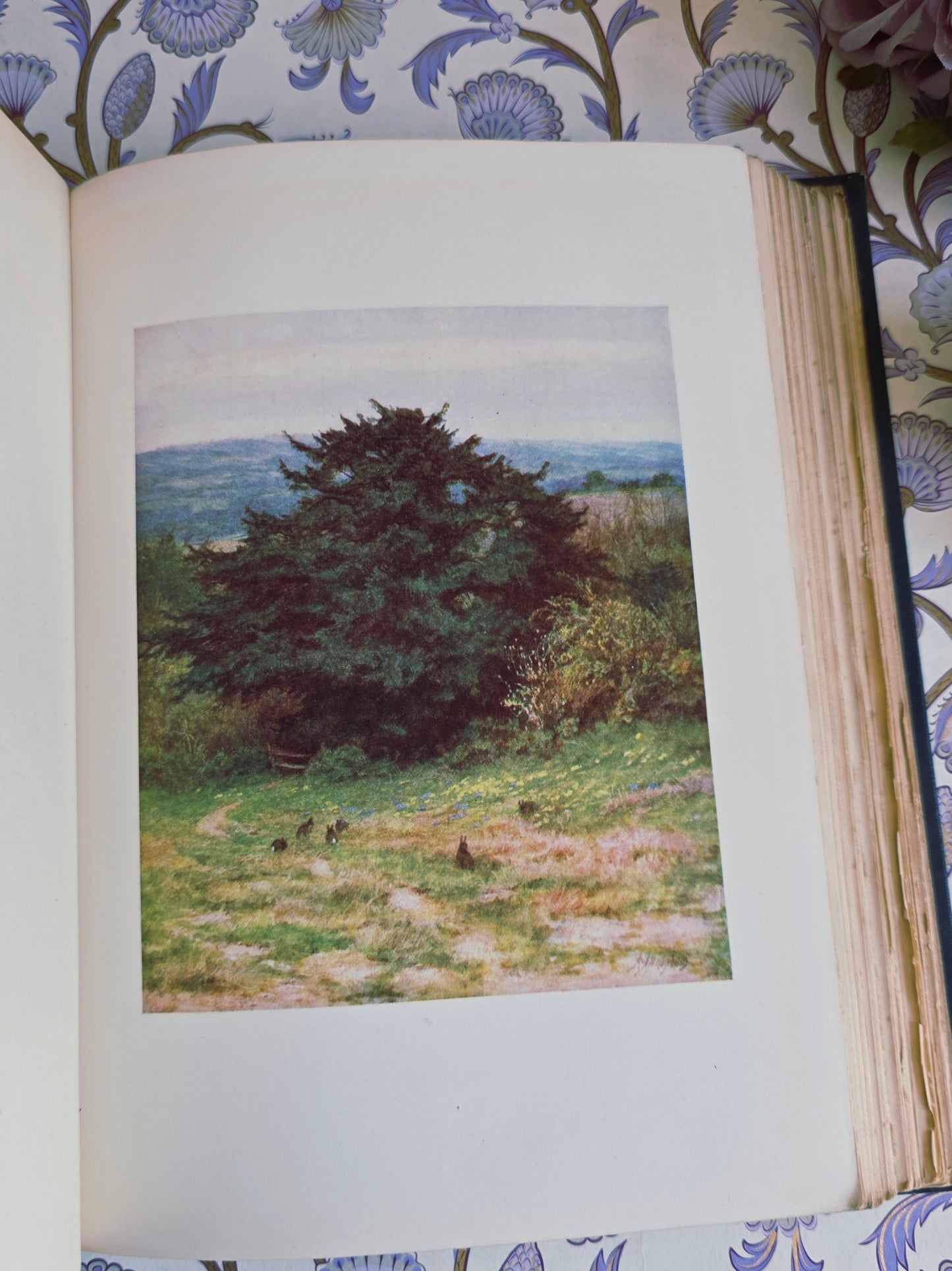 1903 Happy England by Allingham and Huish - Illustrated Antique Book
