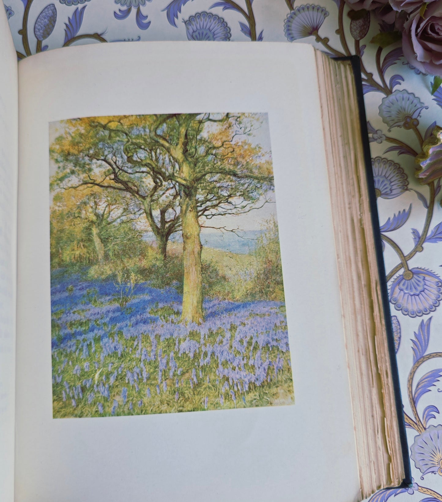 1903 Happy England by Allingham and Huish - Illustrated Antique Book