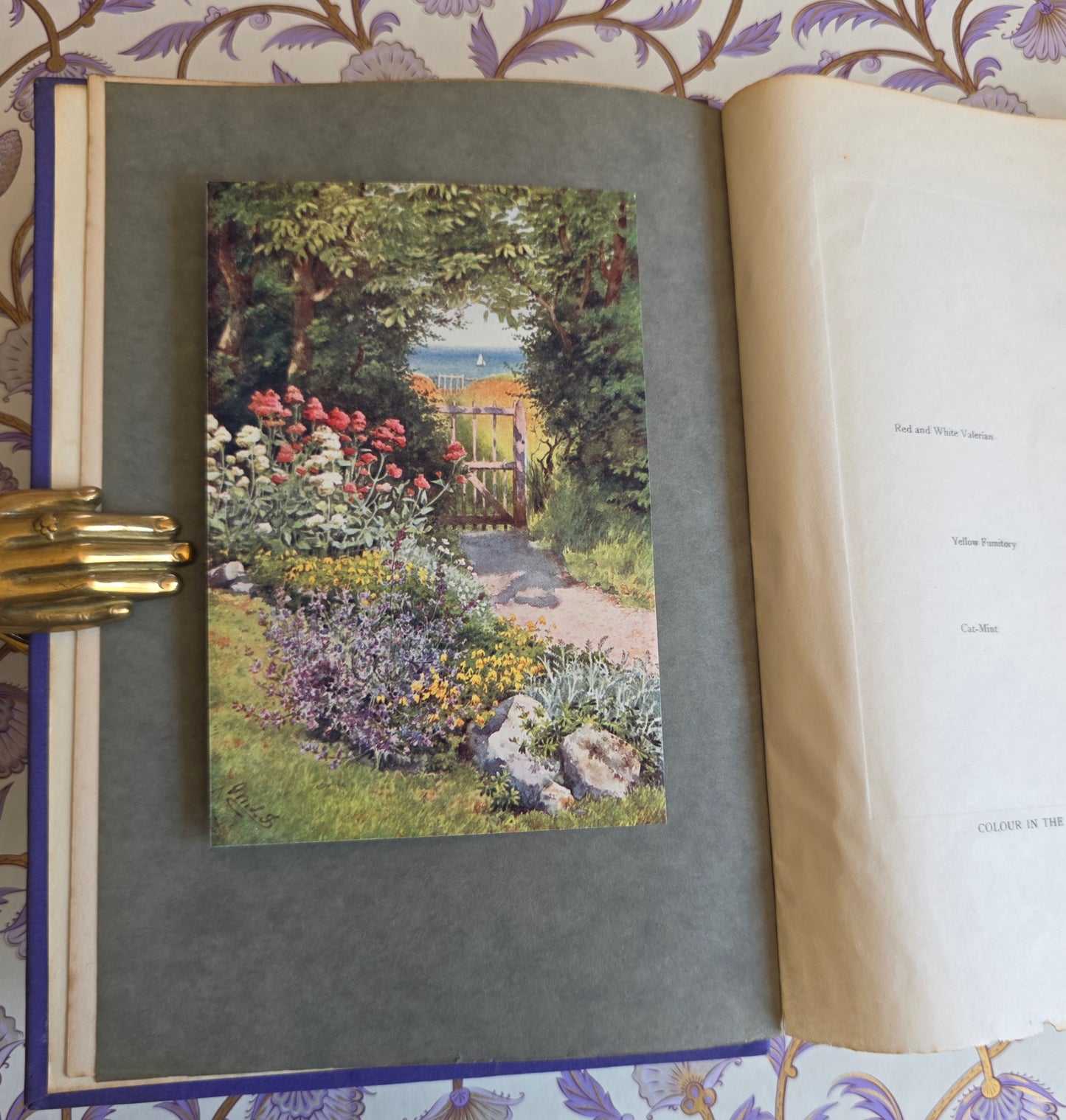1911 The Herb Garden by Frances A Bardswell - Illustrated Antique Book
