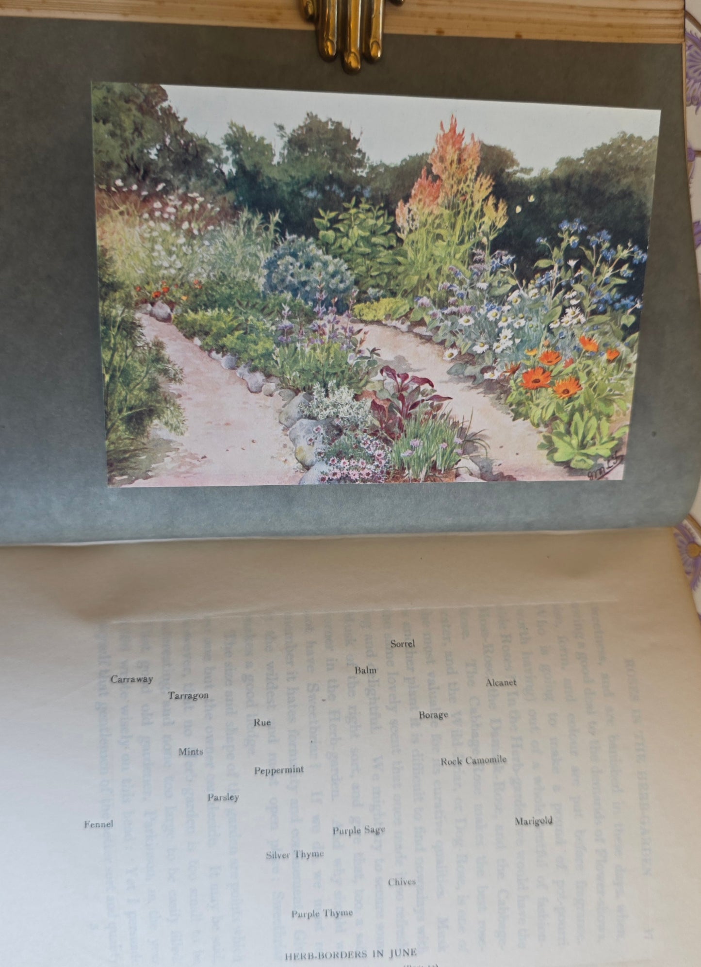 1911 The Herb Garden by Frances A Bardswell - Illustrated Antique Book