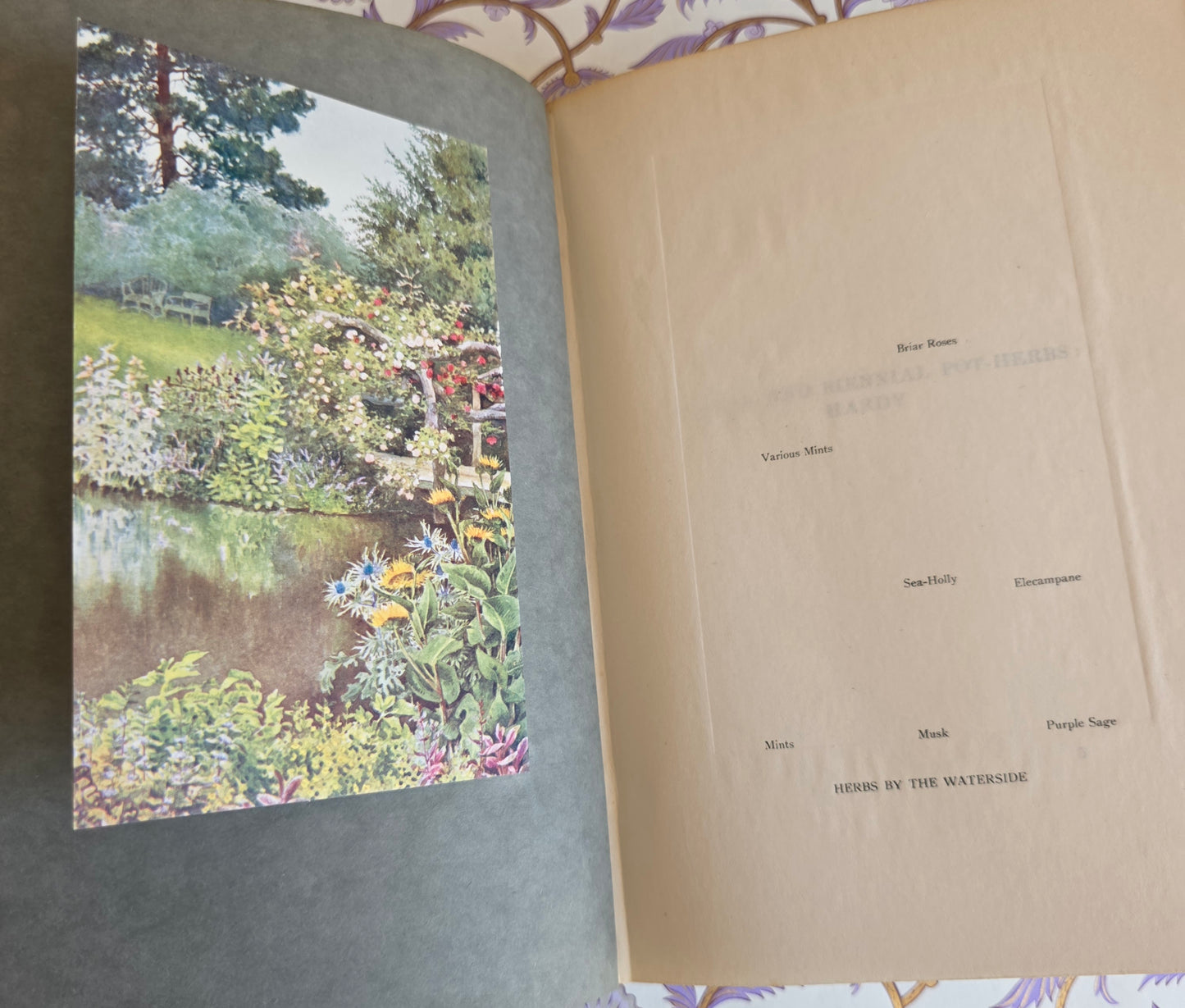 1911 The Herb Garden by Frances A Bardswell - Illustrated Antique Book