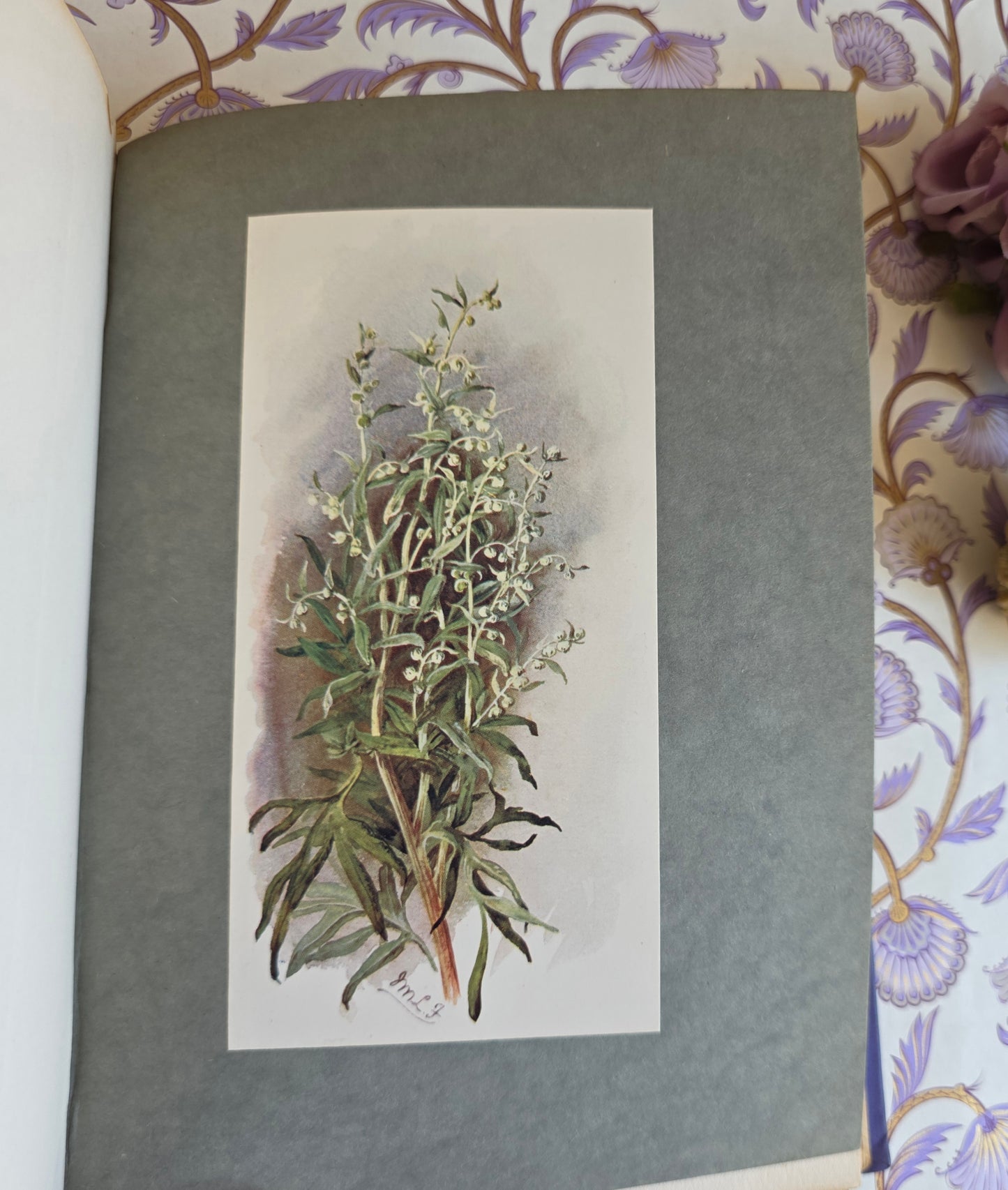 1911 The Herb Garden by Frances A Bardswell - Illustrated Antique Book