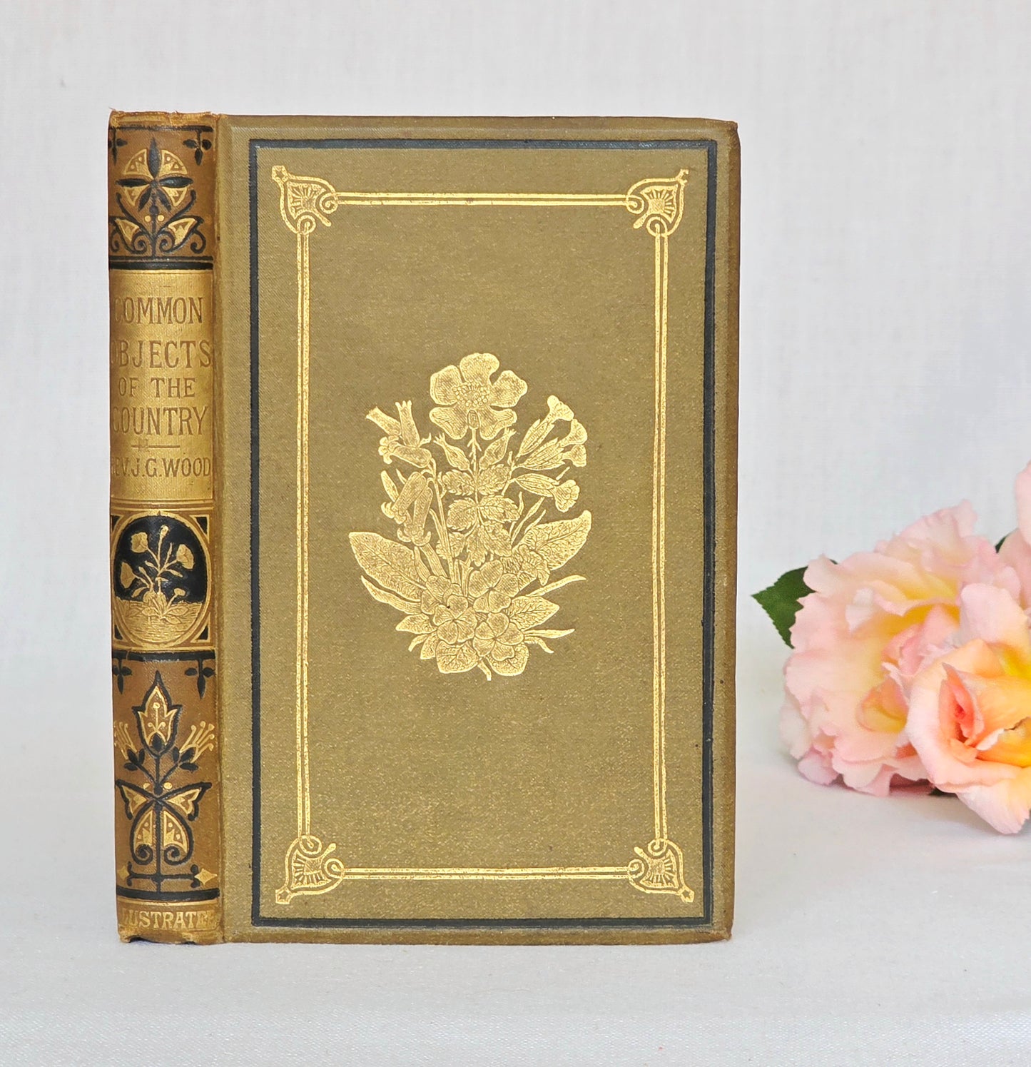 1880s The Common Objects of the Country by Rev JG Wood - Illustrated Antique Book