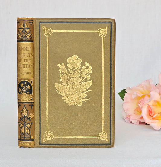 1880s The Common Objects of the Country by Rev JG Wood - Illustrated Antique Book