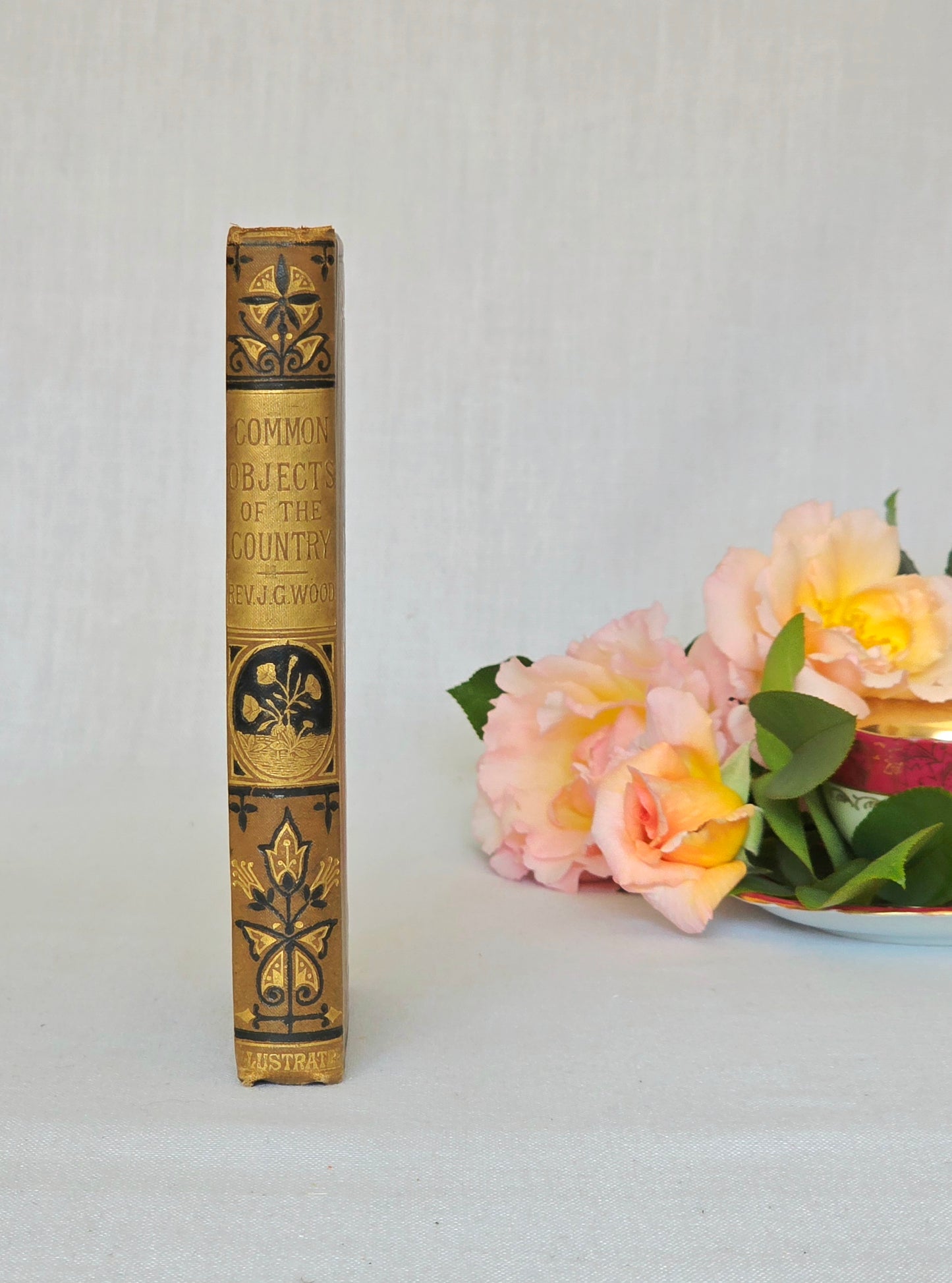 1880s The Common Objects of the Country by Rev JG Wood - Illustrated Antique Book