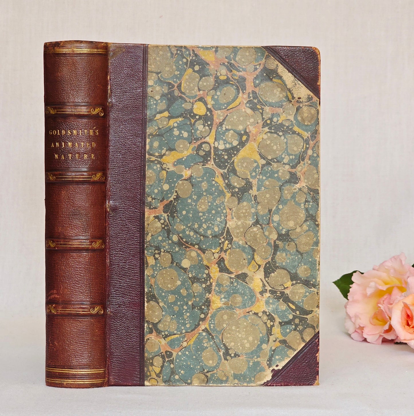 1840 A History of the Earth and Animated Nature by Oliver Goldsmith - Richly Illustrated Antique Book