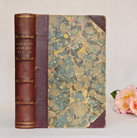 1840 A History of the Earth and Animated Nature by Oliver Goldsmith - Richly Illustrated Antique Book