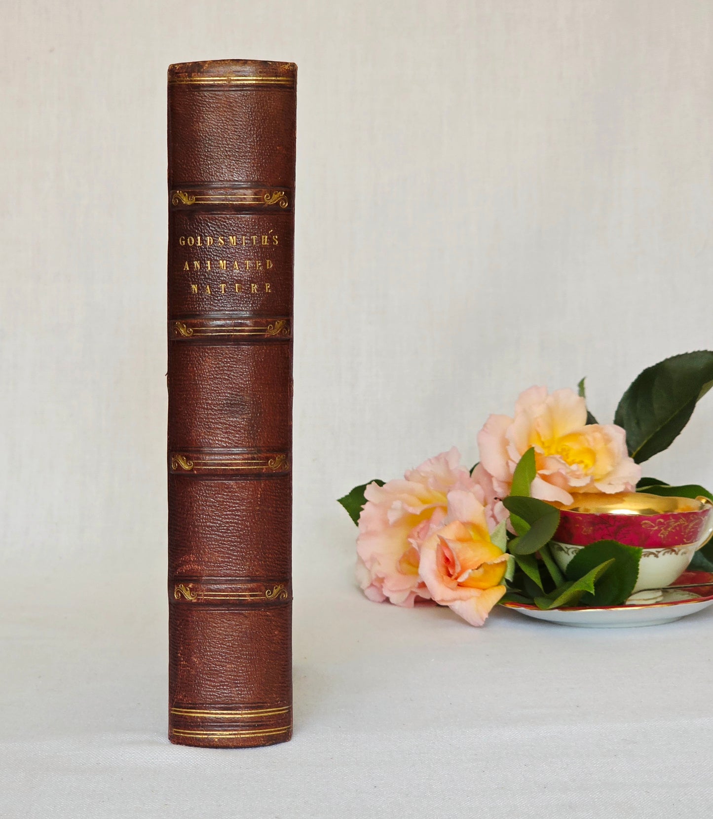 1840 A History of the Earth and Animated Nature by Oliver Goldsmith - Richly Illustrated Antique Book