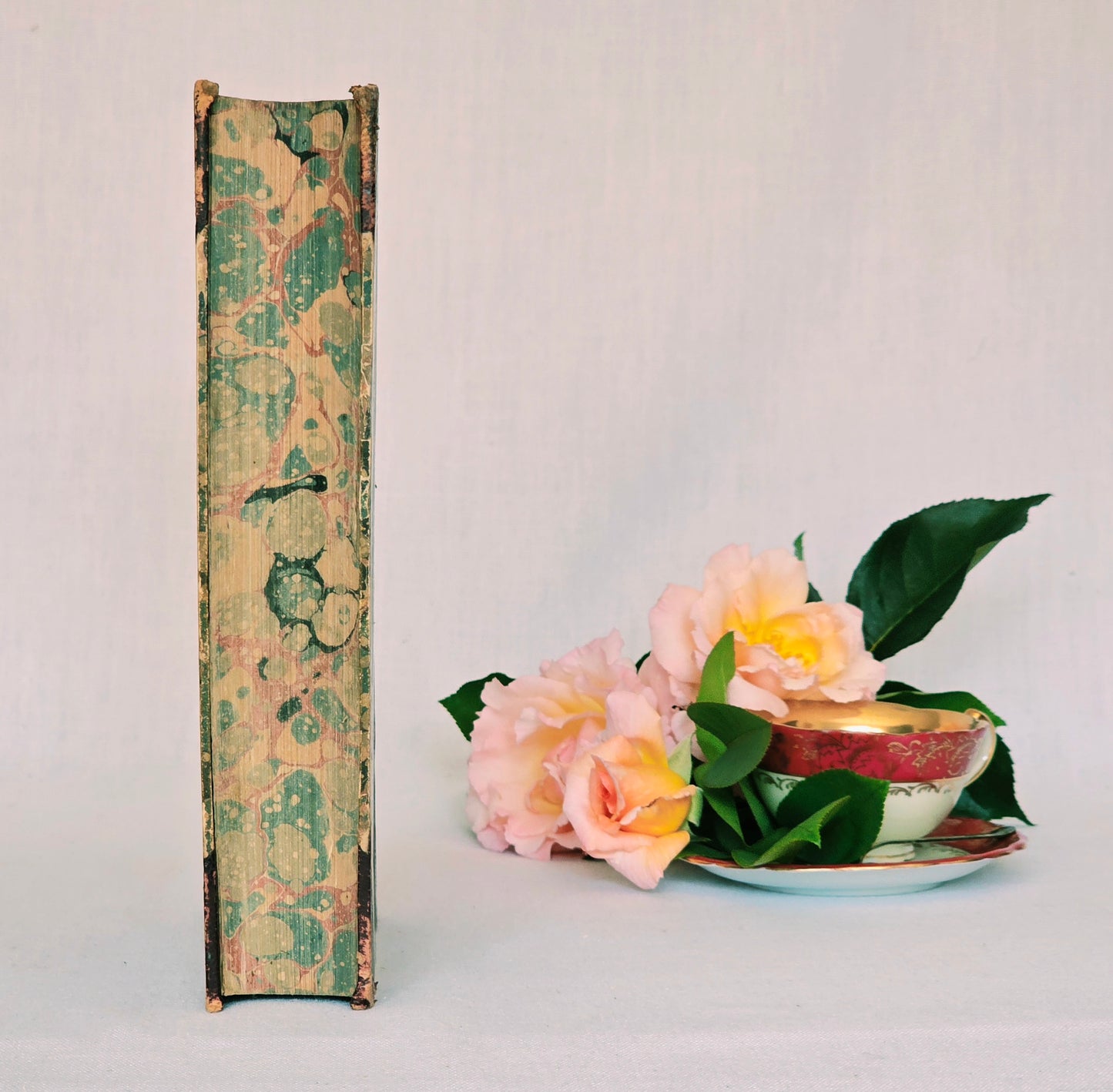 1840 A History of the Earth and Animated Nature by Oliver Goldsmith - Richly Illustrated Antique Book