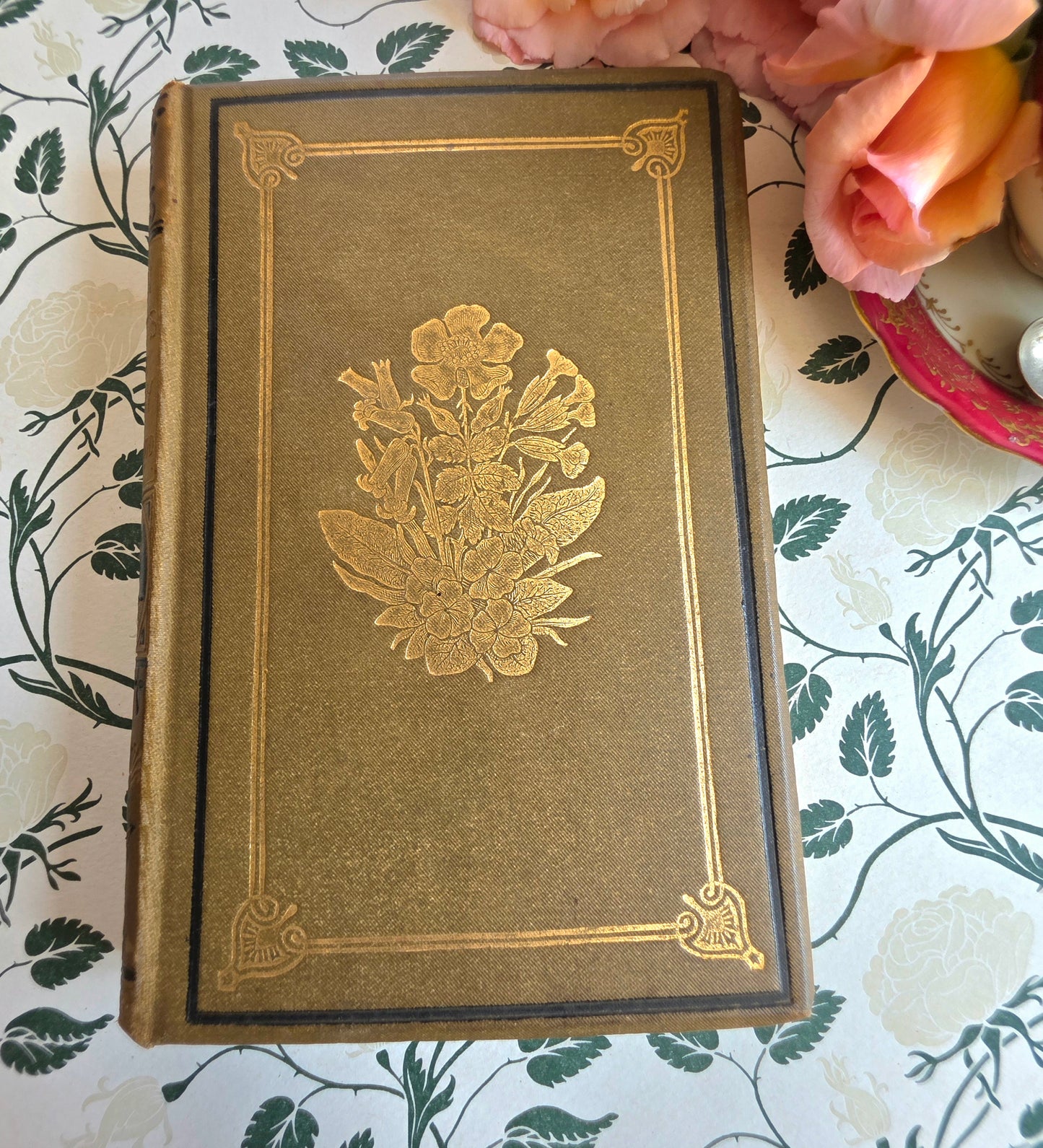 1880s The Common Objects of the Country by Rev JG Wood - Illustrated Antique Book