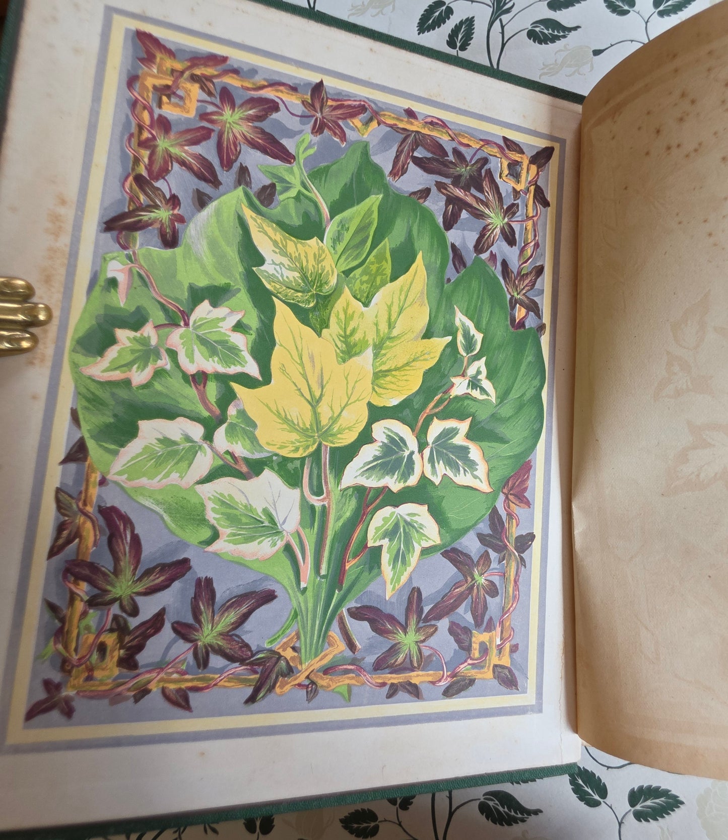 1872 The Ivy by Shirley Hibberd - Large, Richly Illustrated Antique Book