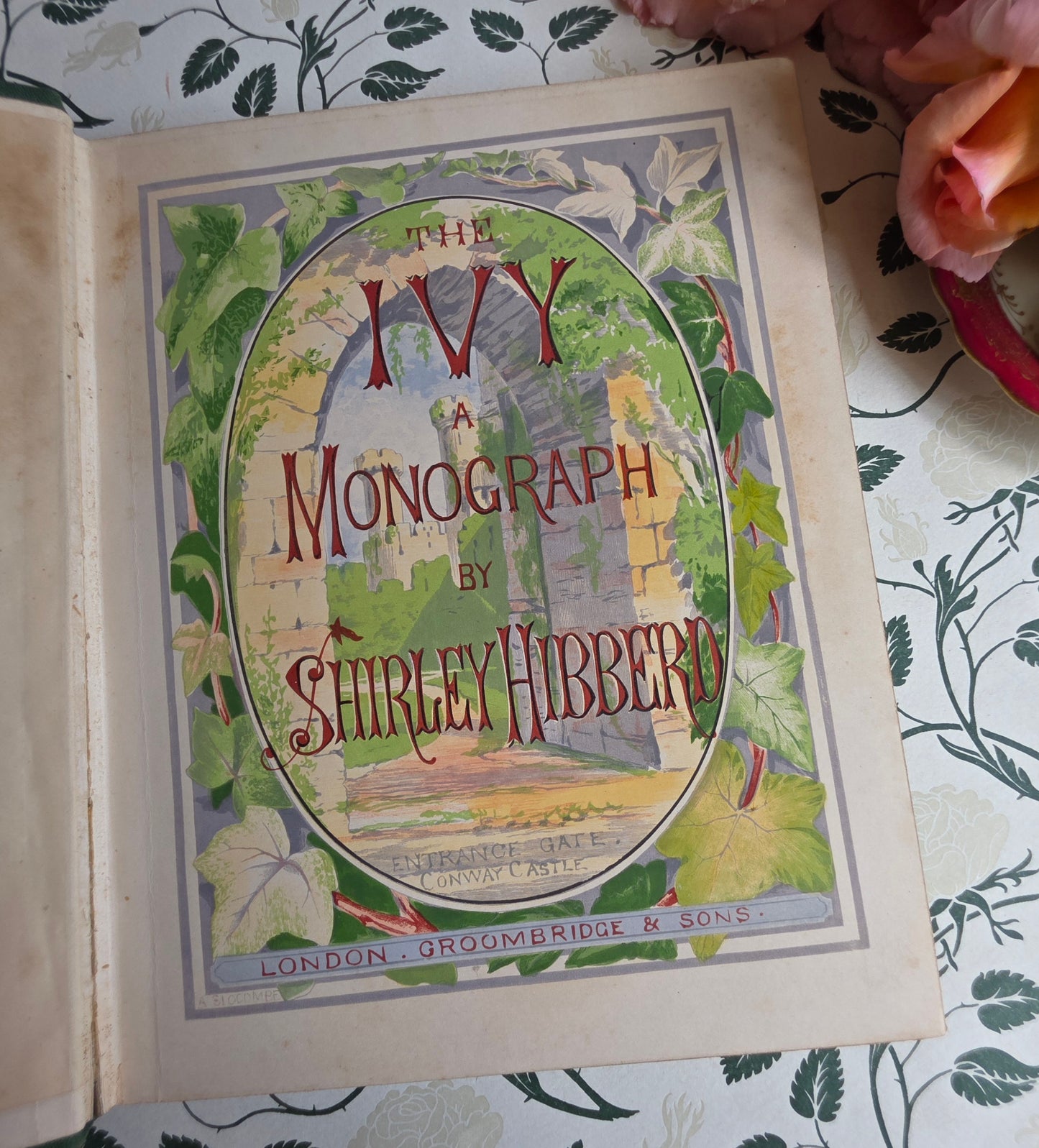 1872 The Ivy by Shirley Hibberd - Large, Richly Illustrated Antique Book