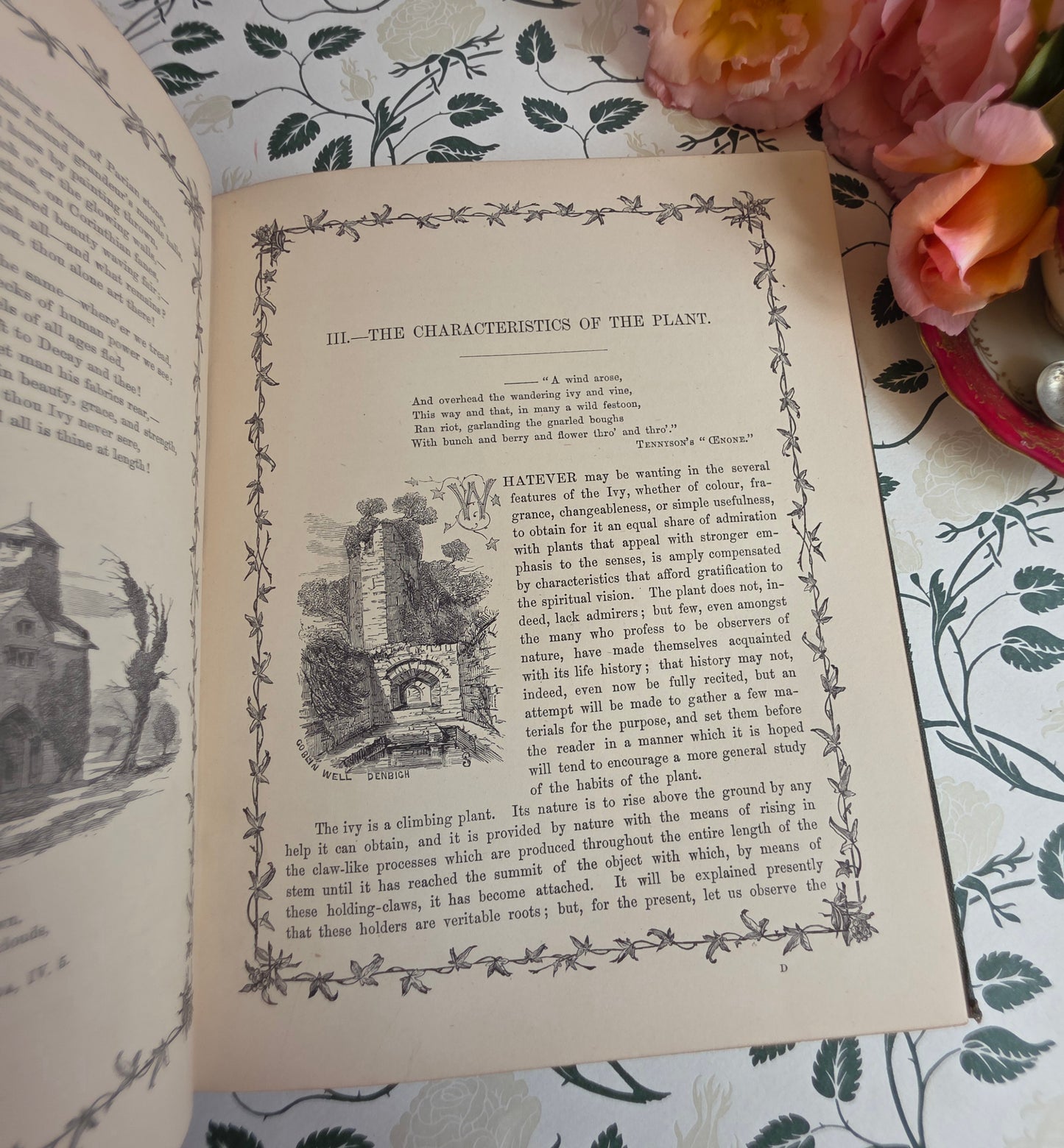 1872 The Ivy by Shirley Hibberd - Large, Richly Illustrated Antique Book