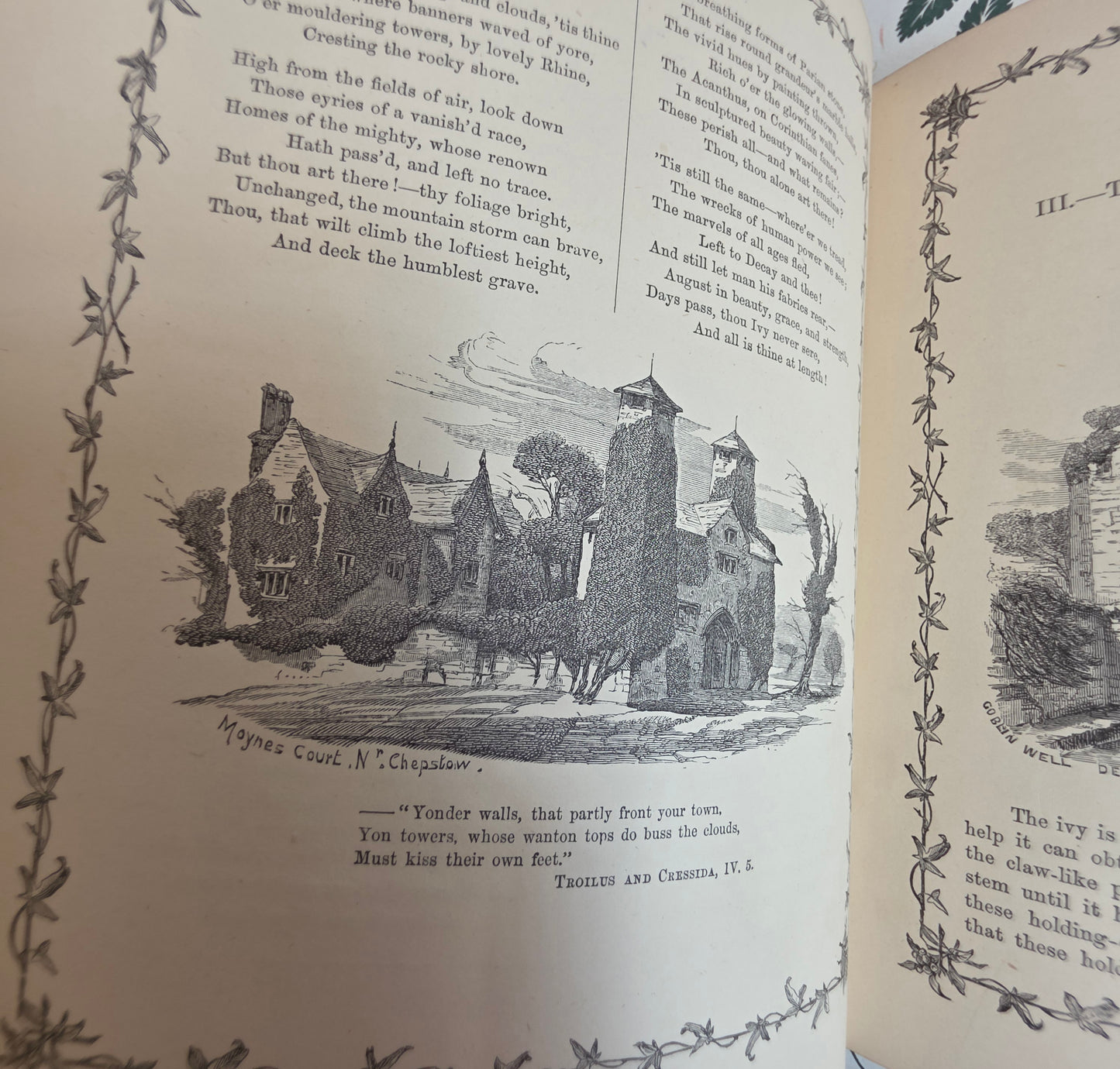 1872 The Ivy by Shirley Hibberd - Large, Richly Illustrated Antique Book