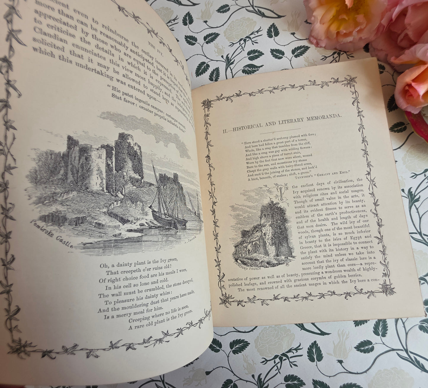 1872 The Ivy by Shirley Hibberd - Large, Richly Illustrated Antique Book