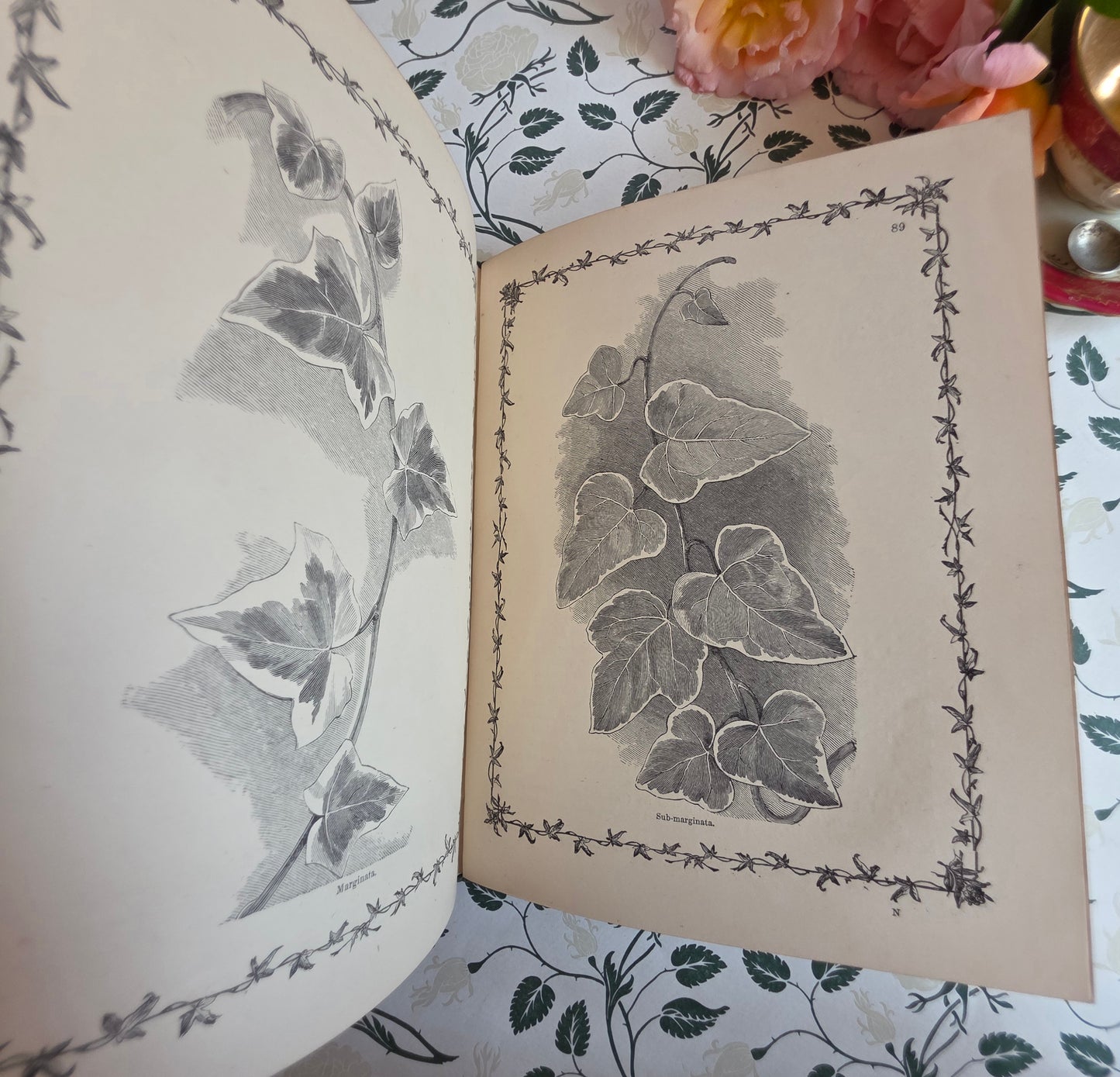 1872 The Ivy by Shirley Hibberd - Large, Richly Illustrated Antique Book