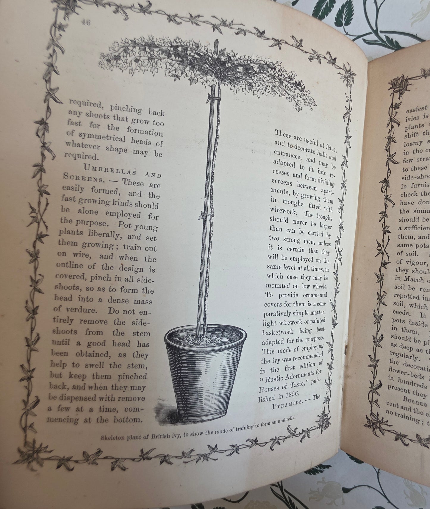 1872 The Ivy by Shirley Hibberd - Large, Richly Illustrated Antique Book