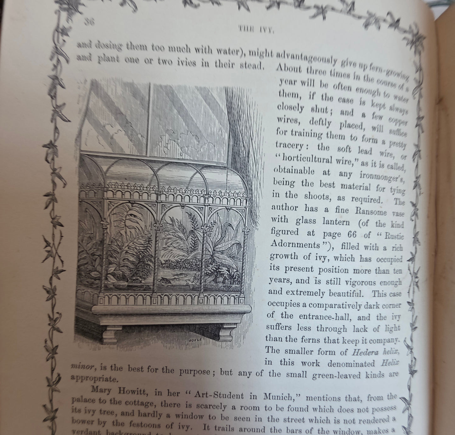1872 The Ivy by Shirley Hibberd - Large, Richly Illustrated Antique Book